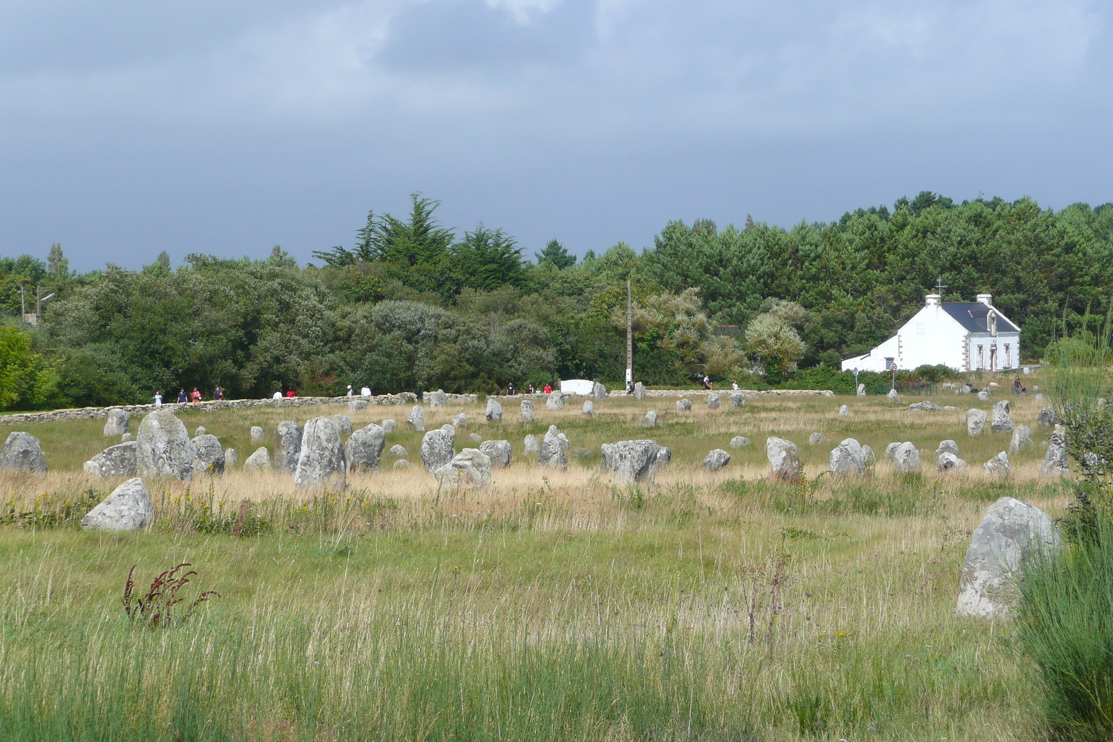 รูปถ่าย ฝรั่งเศส(France) การ์นัก(Carnac) 2008-07 25