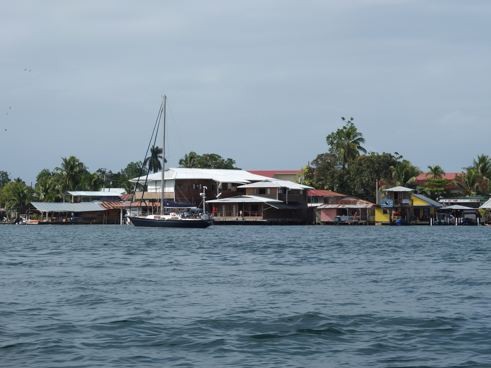 รูปถ่าย ปานามา(Panama) โบกัสเดลโตโร(Bocas del toro) 2015-03 44