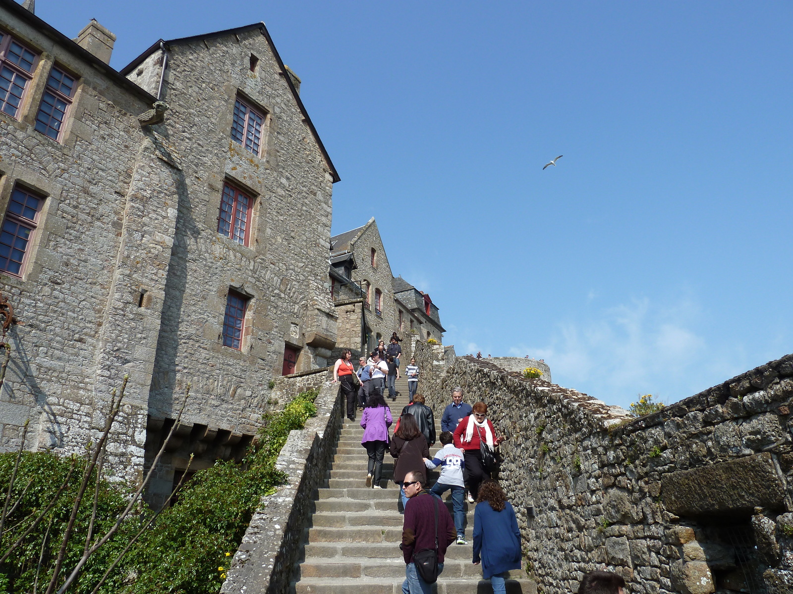 รูปถ่าย ฝรั่งเศส(France) มงแซ็งมีแชล(Mont St Michel) 2010-04 142
