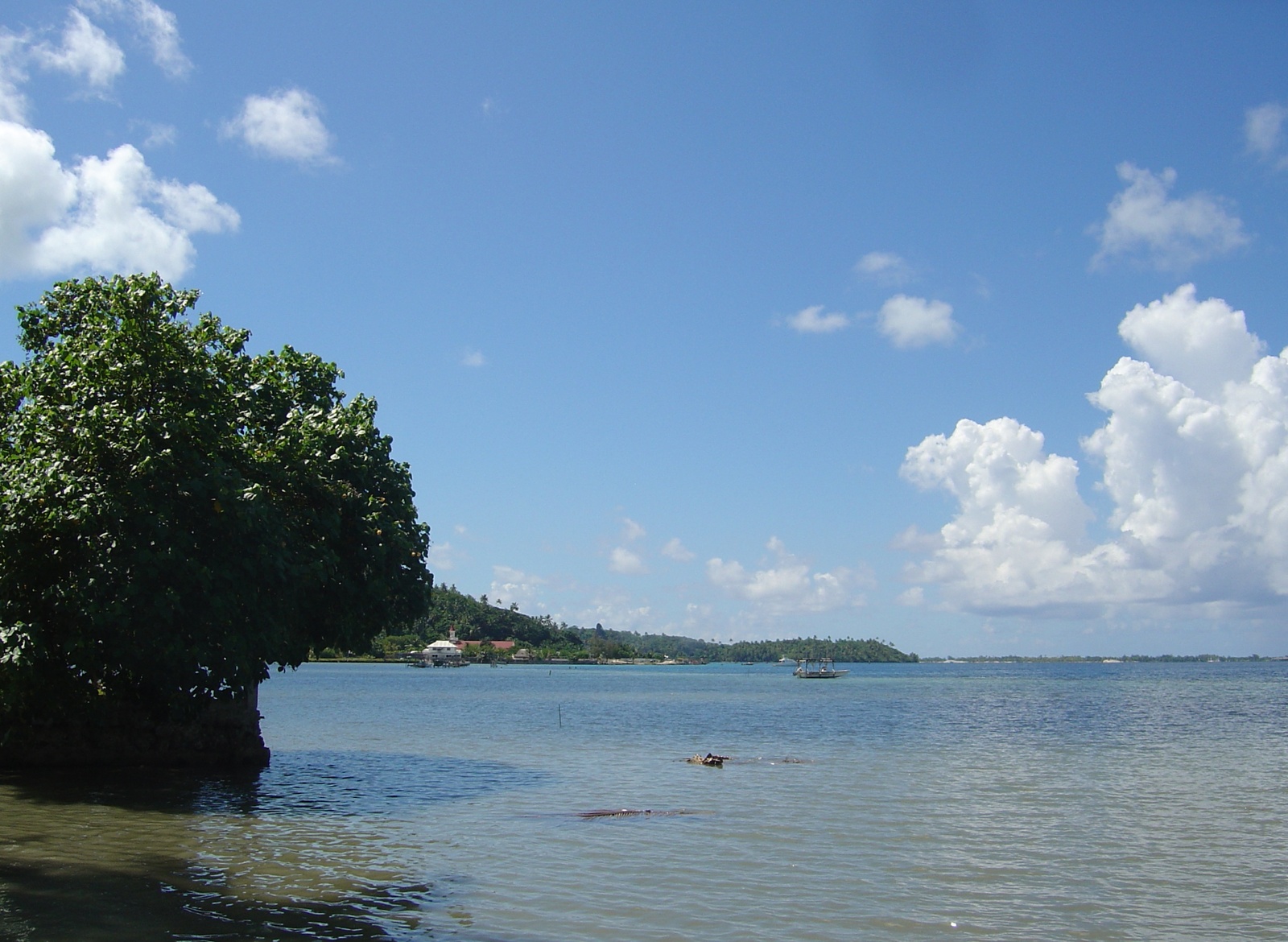 รูปถ่าย เฟรนช์โพลี่นีเซีย(Polynesia) โบราโบรา(Bora Bora) 2006-04 108