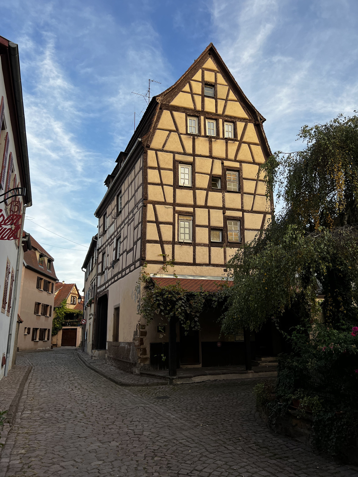 รูปถ่าย ฝรั่งเศส(France) กอลมาร์(Colmar) 2023-10 116