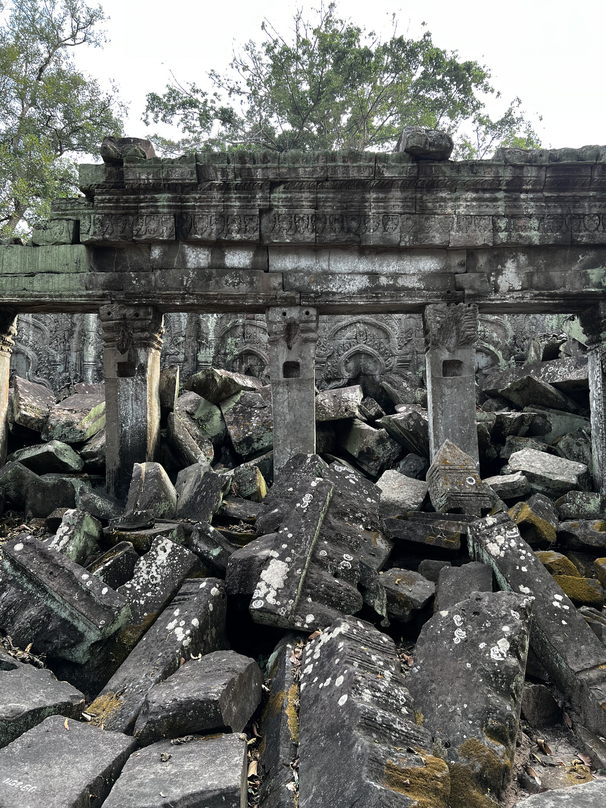 รูปถ่าย กัมพูชา(Cambodia) เสียมราฐ(Siem Reap) ปราสาทตาพรหม(Ta Prohm) 2023-01 26