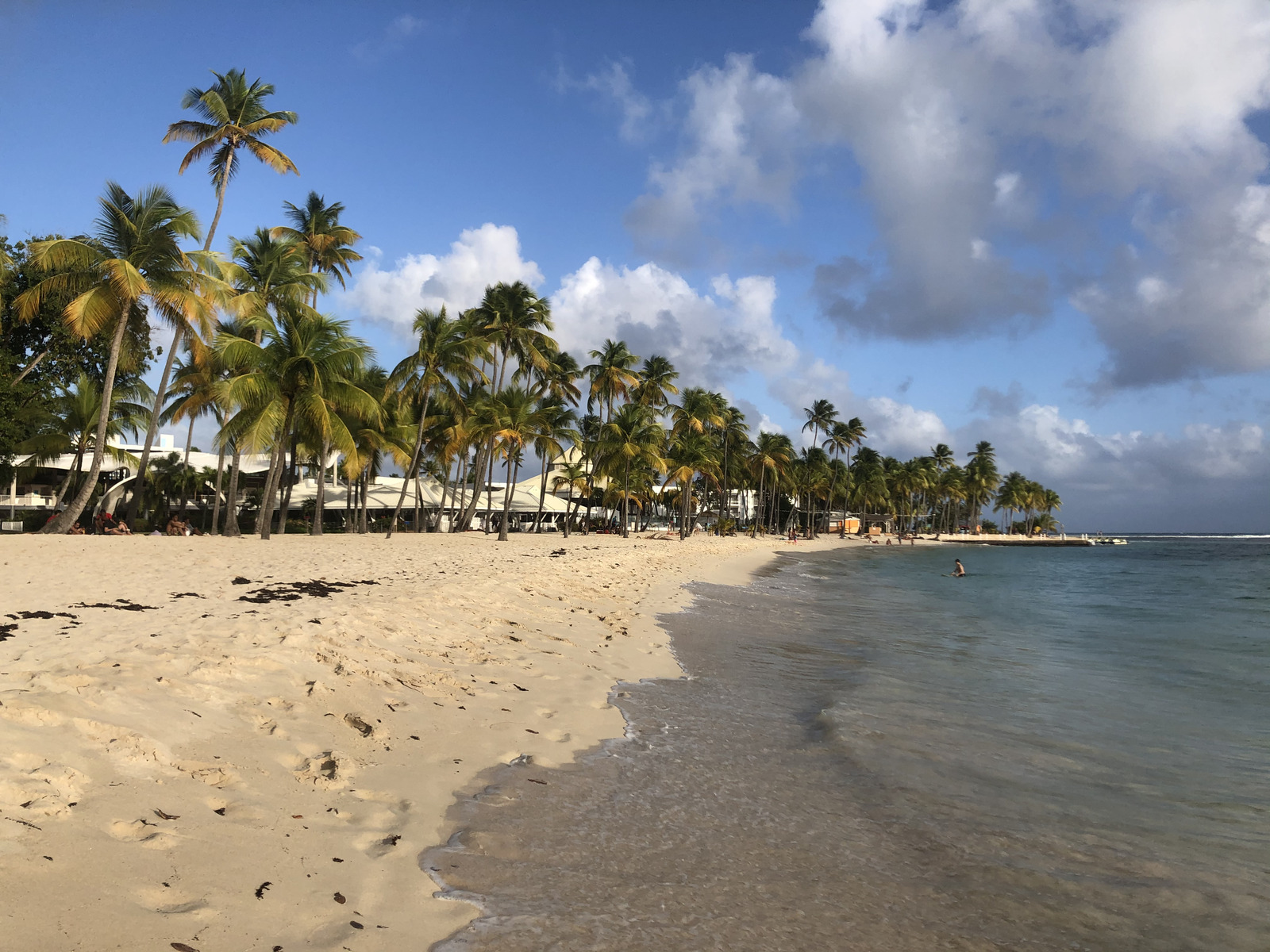 รูปถ่าย กวาเดอลูป(Guadeloupe) หาดลาการาแวล(La Caravelle Beach) 2021-02 130