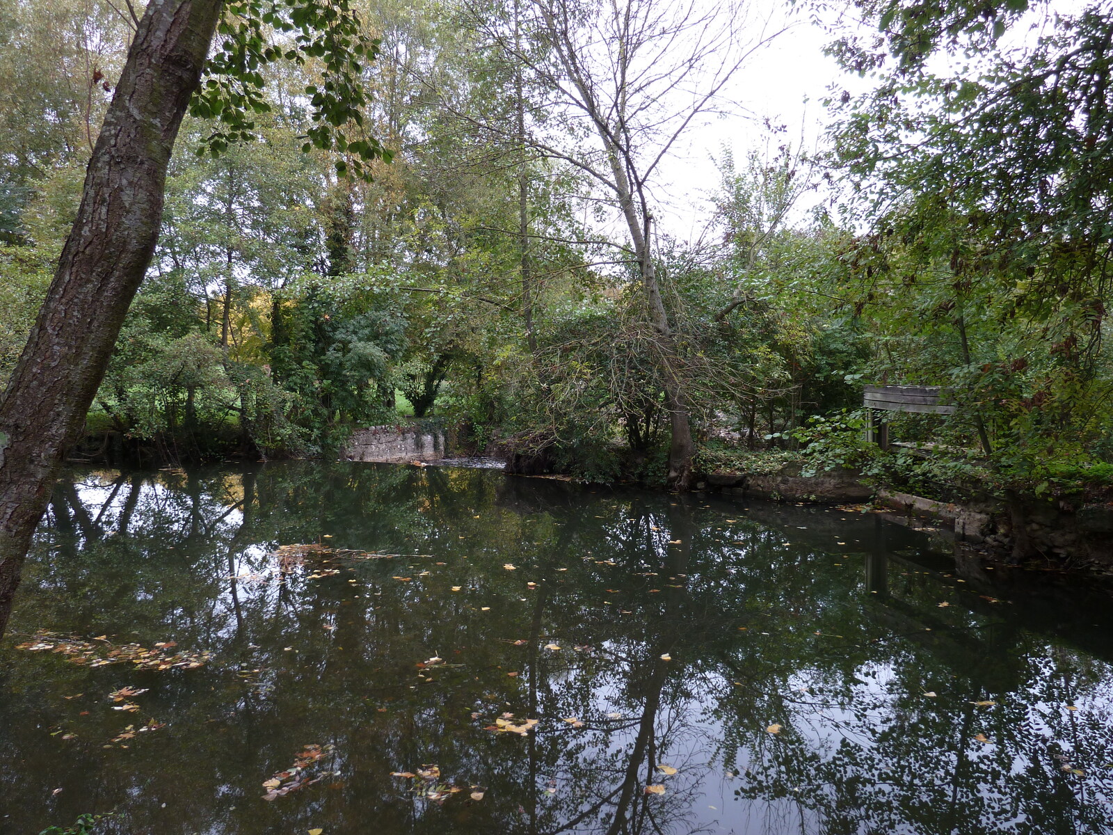รูปถ่าย ฝรั่งเศส(France) อาญีแยร์-ซูร์-แวกร์(Asnieres sur Vegre) 2010-11 41