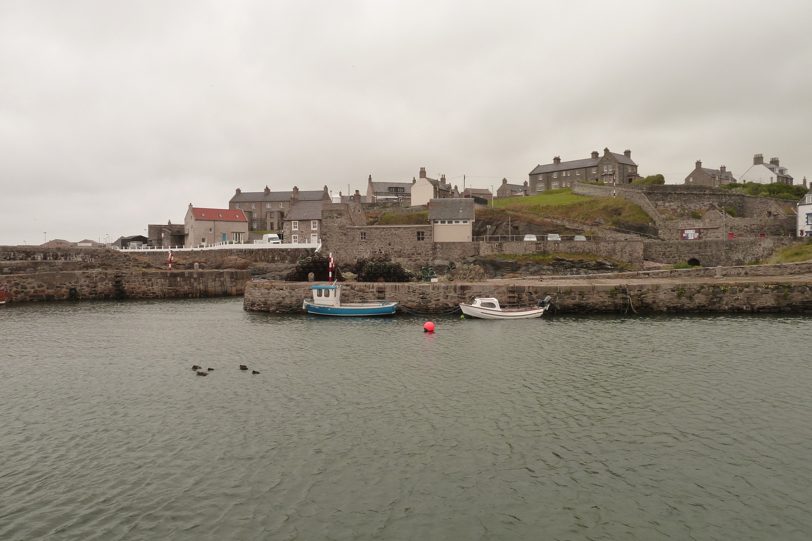 รูปถ่าย อังกฤษ(United Kingdom) สกอตแลนด์(Scotland) พอร์ตซอย(Portsoy) 2011-07 15