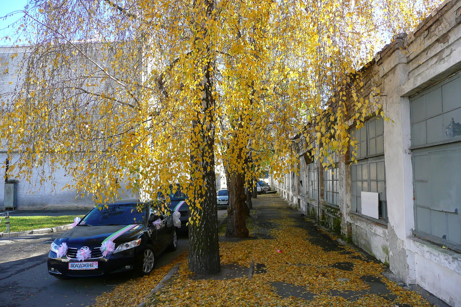 รูปถ่าย ยูเครน(Ukraine) เคียฟ(Kiev) อารามถ้ำเคียฟ-เปเชียร์สก์(Pechersk Lavra) 2007-11 6