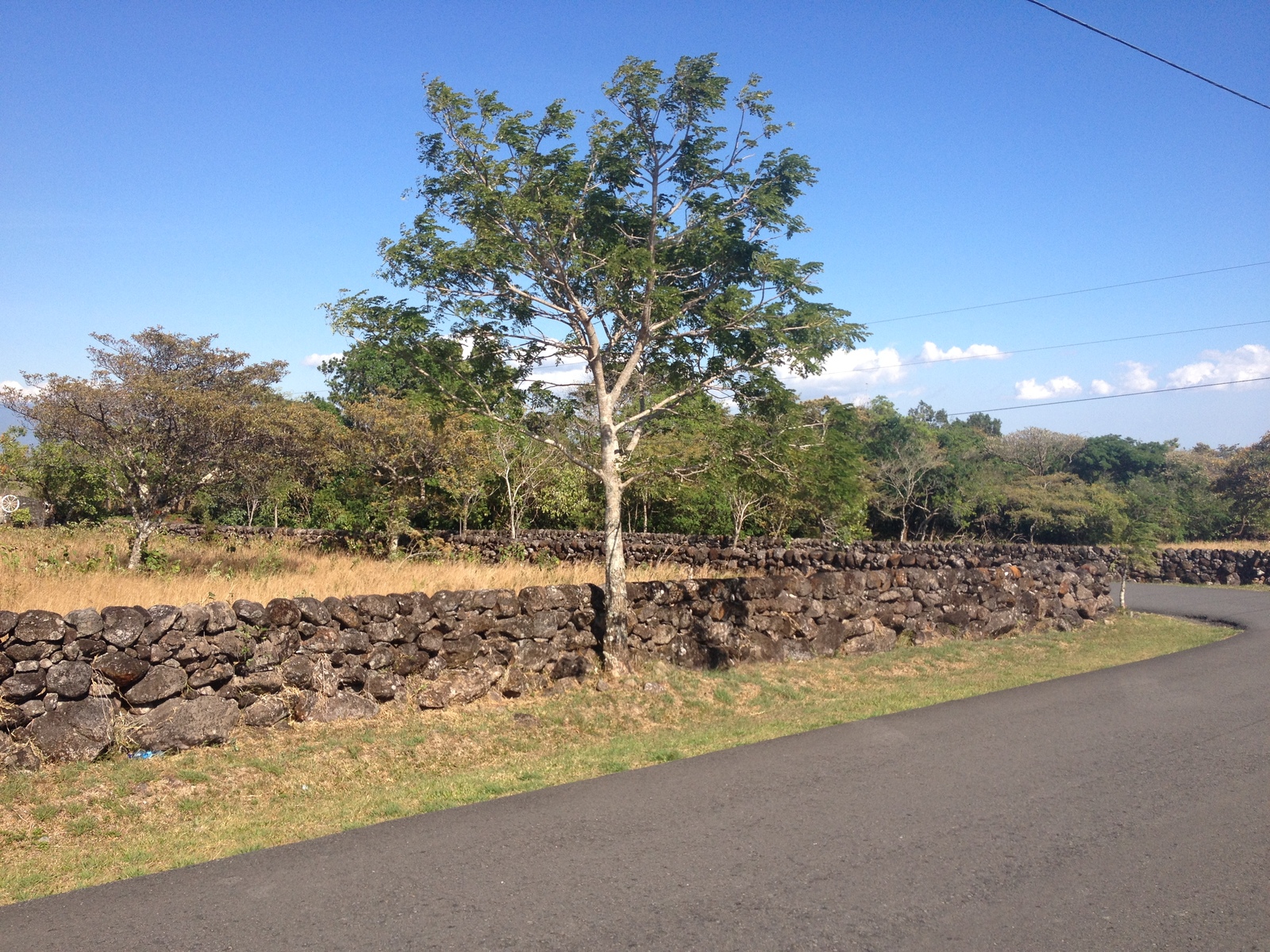 รูปถ่าย ปานามา(Panama) โบเกเต(Boquete) 2015-03 151