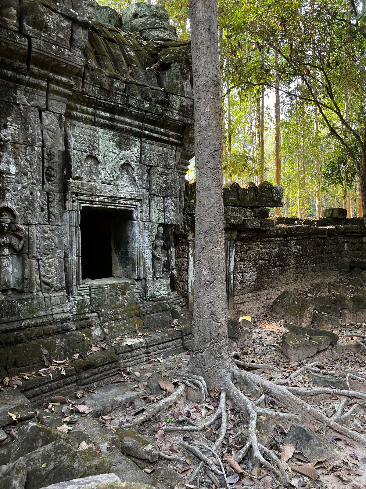 รูปถ่าย กัมพูชา(Cambodia) เสียมราฐ(Siem Reap) ปราสาทตาสม(Ta Som) 2023-01 39