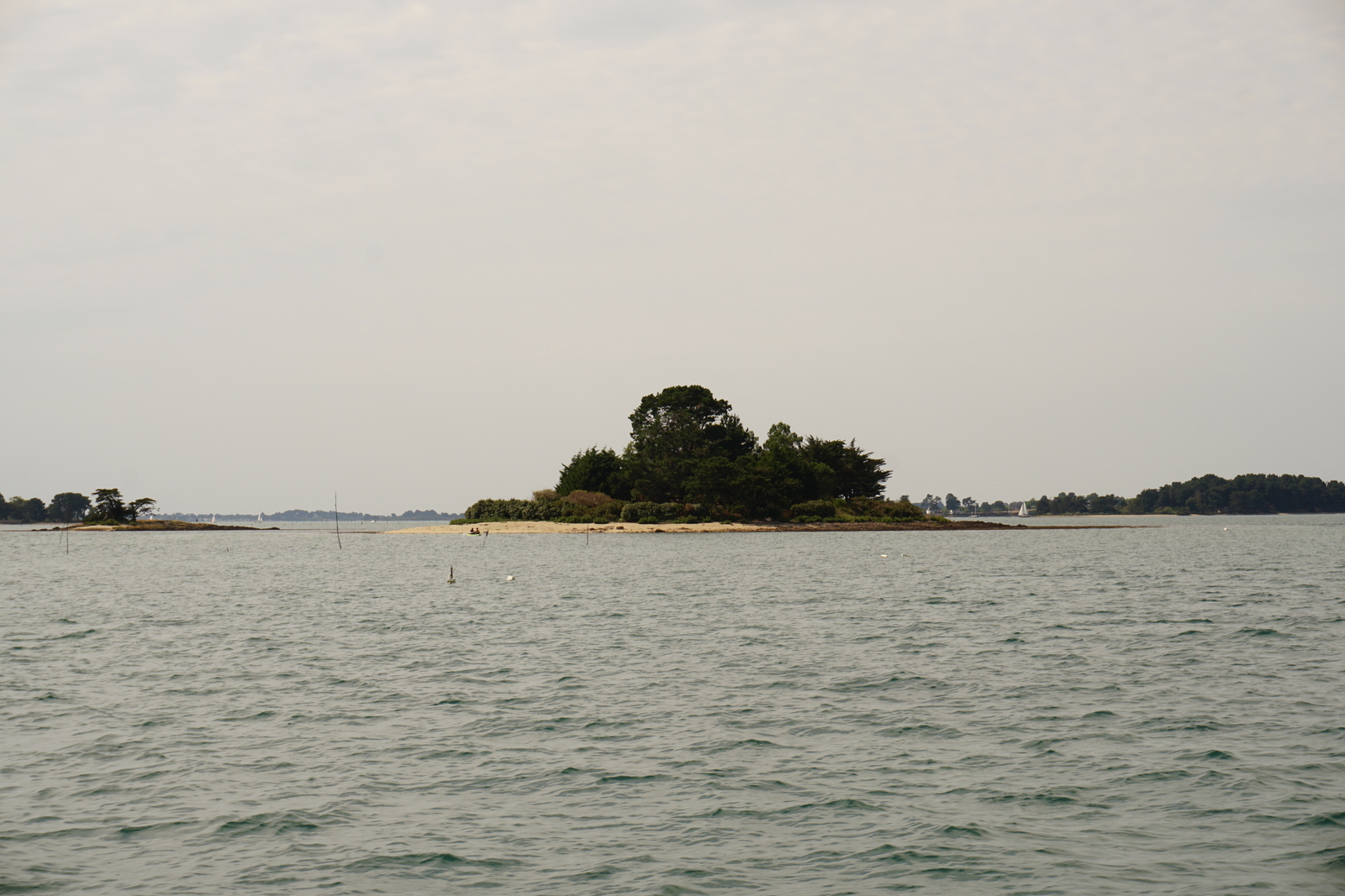 รูปถ่าย ฝรั่งเศส(France) อ่าวมอร์บีอ็อง(Golfe du Morbihan) 2016-08 64