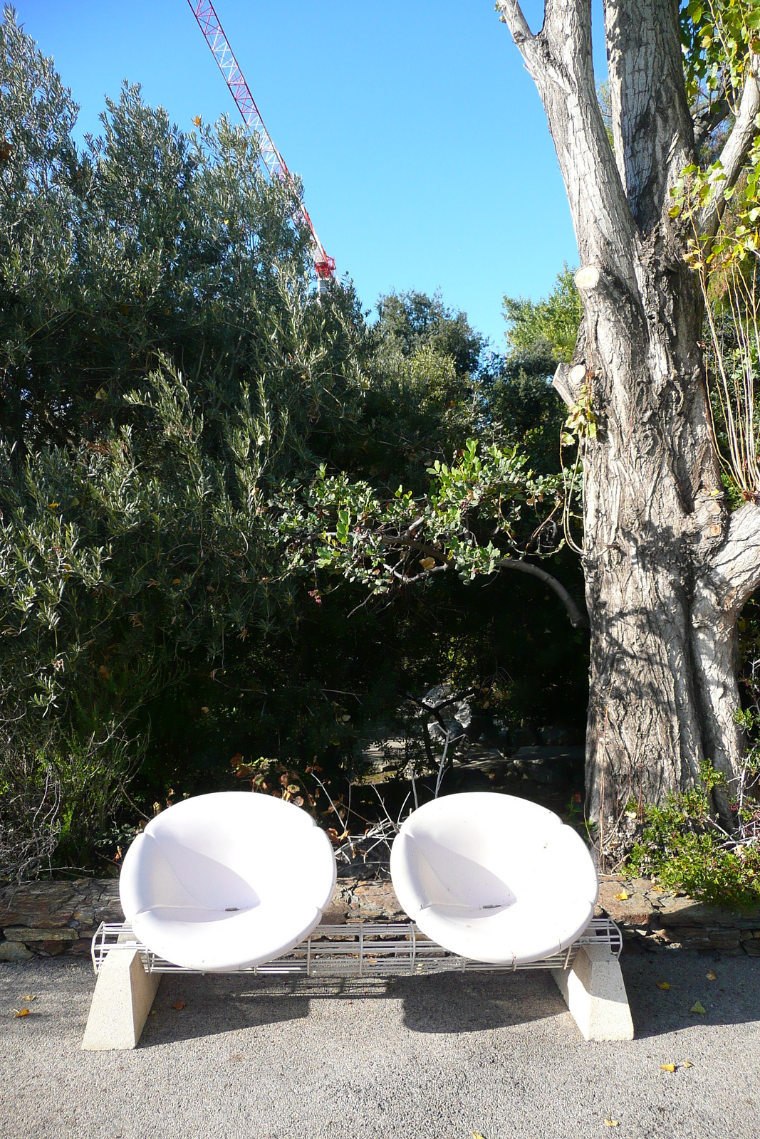 รูปถ่าย ฝรั่งเศส(France) นีส(Nice) สวนฟีนิกซ์(Phoenix Parc) 2007-10 61