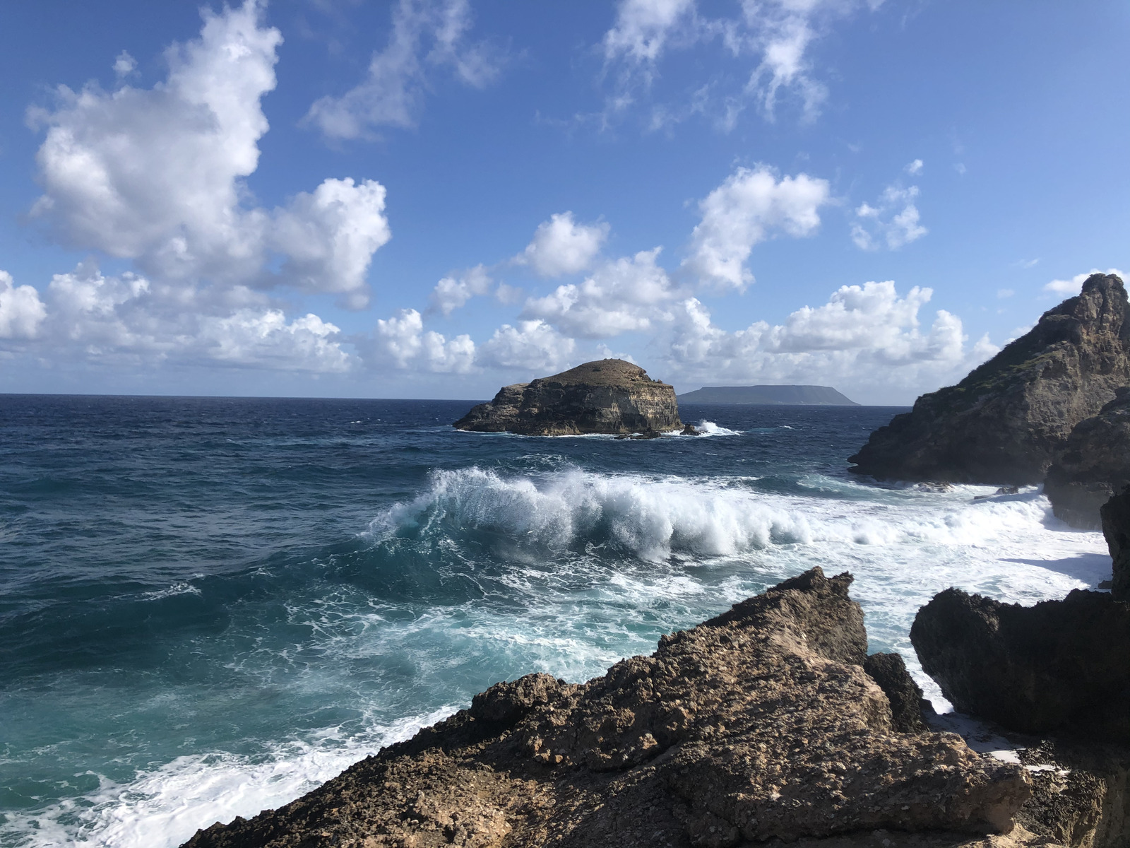 รูปถ่าย กวาเดอลูป(Guadeloupe) แหลมคาสเซิลพอยต์(Castle Point) 2021-02 309