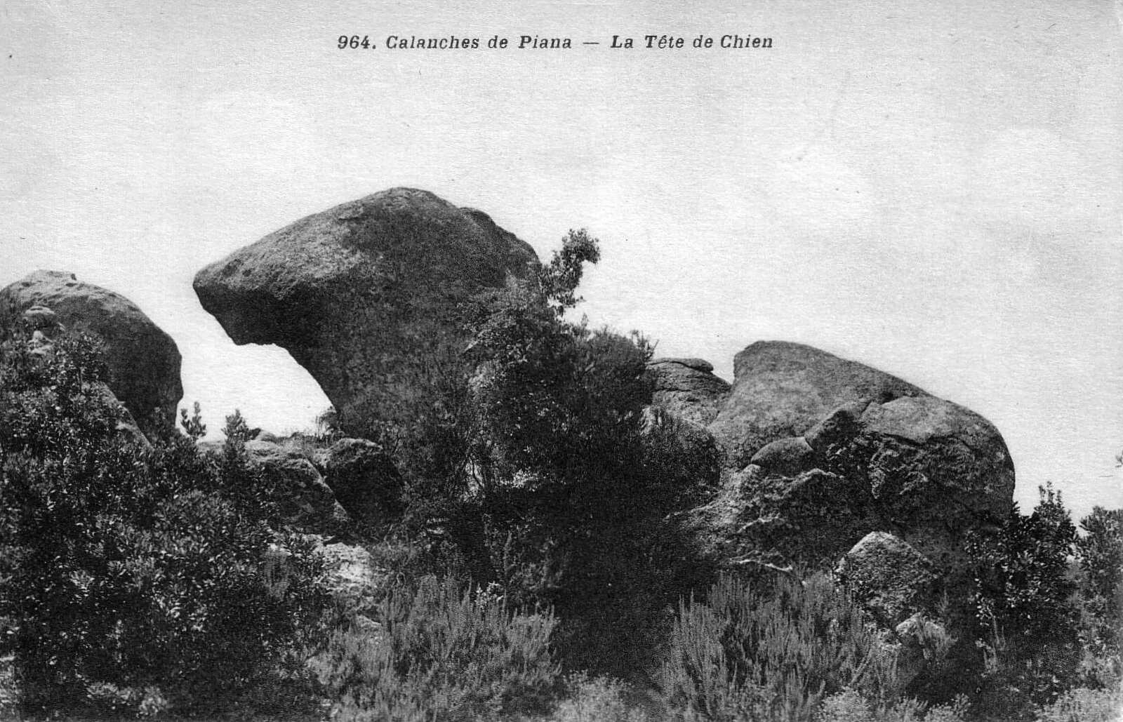 รูปถ่าย ฝรั่งเศส(France) คอร์สิคา(Corsica) โปสการ์ดเก่า(Old Postcards) 1900-01 187