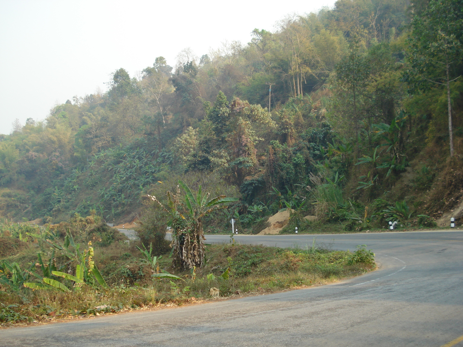 รูปถ่าย ไทย(Thailand) ถนนจากเชียงใหม่ไปปาย(Chiang Mai to Pai road) 2007-02 24
