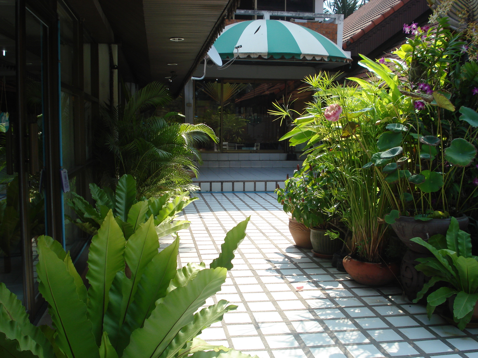 รูปถ่าย ไทย(Thailand) พัทยา(Pattaya) ถนนพัทยาสาย 2(Pattaya 2nd road) 2008-01 47