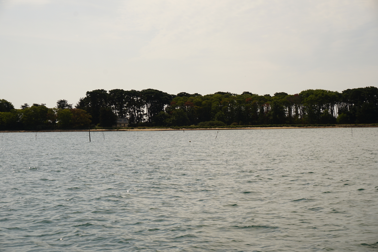 รูปถ่าย ฝรั่งเศส(France) อ่าวมอร์บีอ็อง(Golfe du Morbihan) 2016-08 71