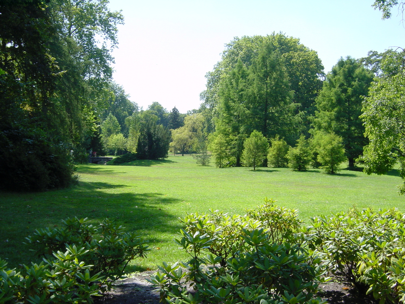 รูปถ่าย ฝรั่งเศส(France) ฟงเทนโบล(Fontainebleau) 2002-08 3