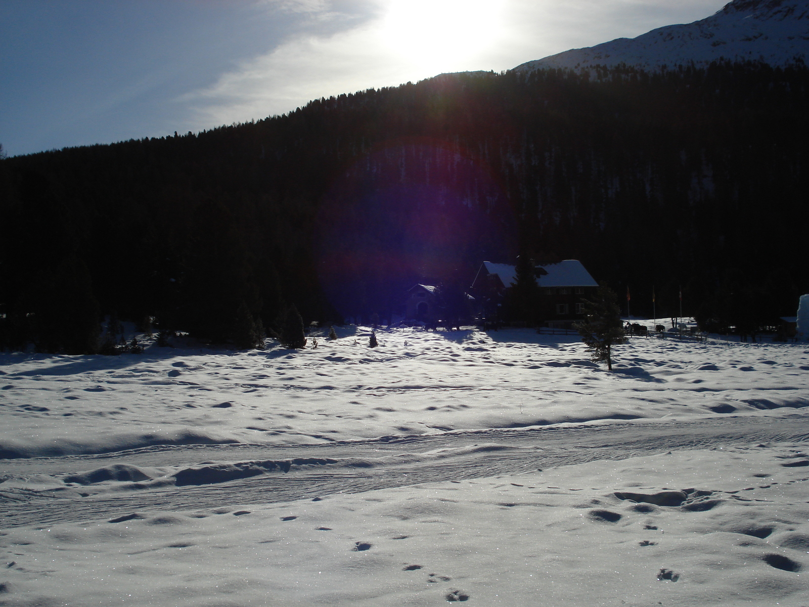 รูปถ่าย สวิสเซอร์แลนด์(Switzerland) เซนต์มอริตซ์ ชลาริญญา(St Moritz Schlarigna) 2007-01 63