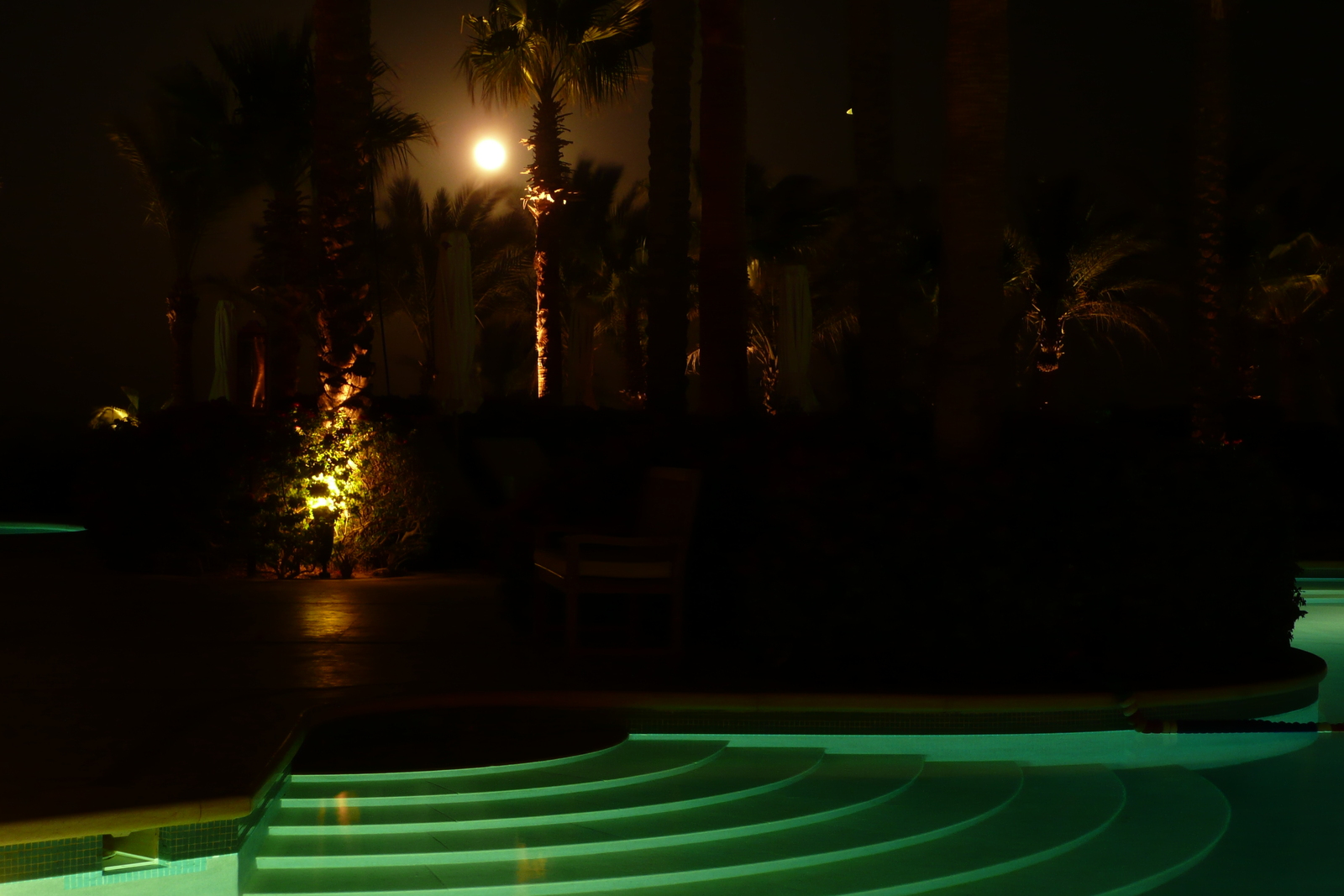 รูปถ่าย อียิปต์(Egypt) ชาร์มเอลชีค(Sharm el Sheikh) โรงแรมโฟร์ซีซันส์(Four Seasons Hotel) สระว่ายน้ำอัลวาฮา โฟร์ซีซันส์(Four Seasons Al Waha Pool) 2008-06 33