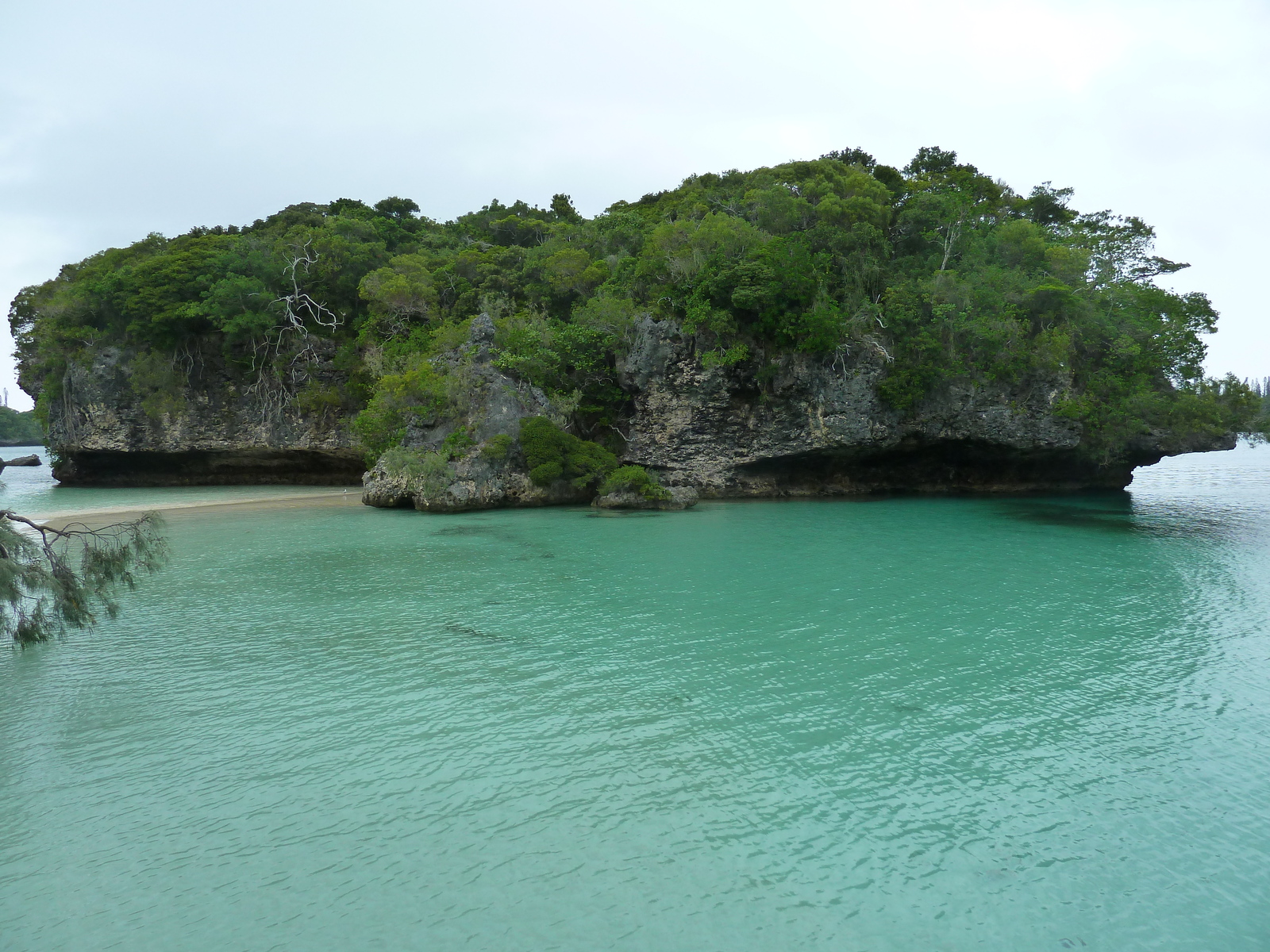 รูปถ่าย นิวแคลิโดเนีย(New Caledonia) 2010-05 63