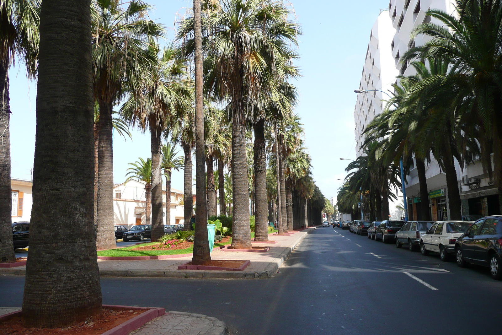 รูปถ่าย โมร็อกโก(Morocco) คาซาบลังกา(Casablanca) ใจกลางคาซาบลังกา(Casablanca Center) 2008-07 110