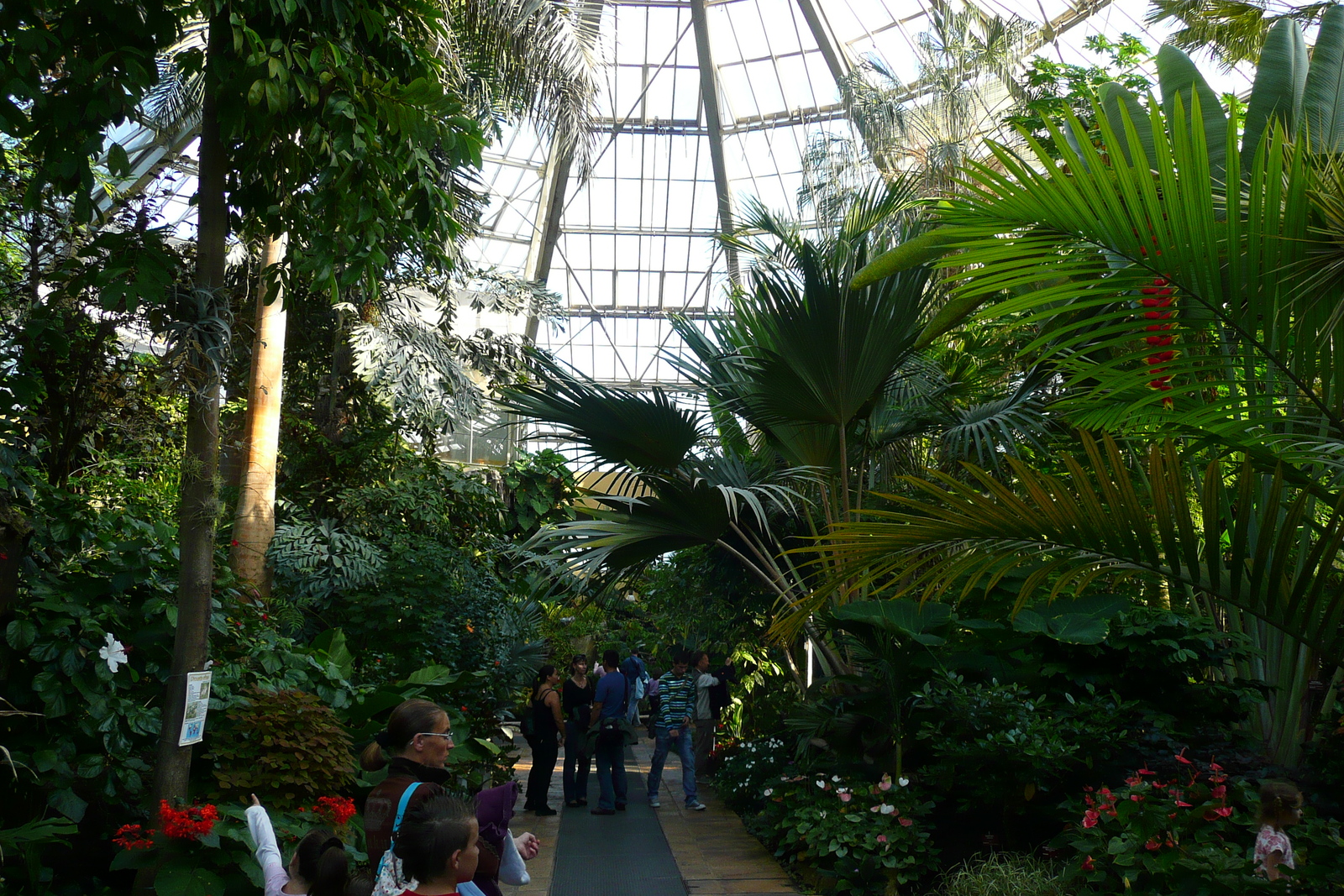 รูปถ่าย ฝรั่งเศส(France) นีส(Nice) สวนฟีนิกซ์(Phoenix Parc) 2007-10 52