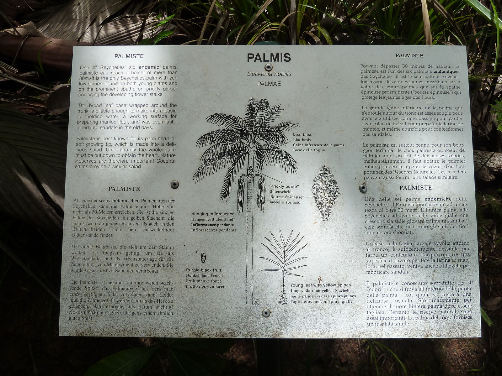 รูปถ่าย เซเชลส์(Seychelles) หุบเขาเดอไม(Vallee de Mai) 2011-10 33