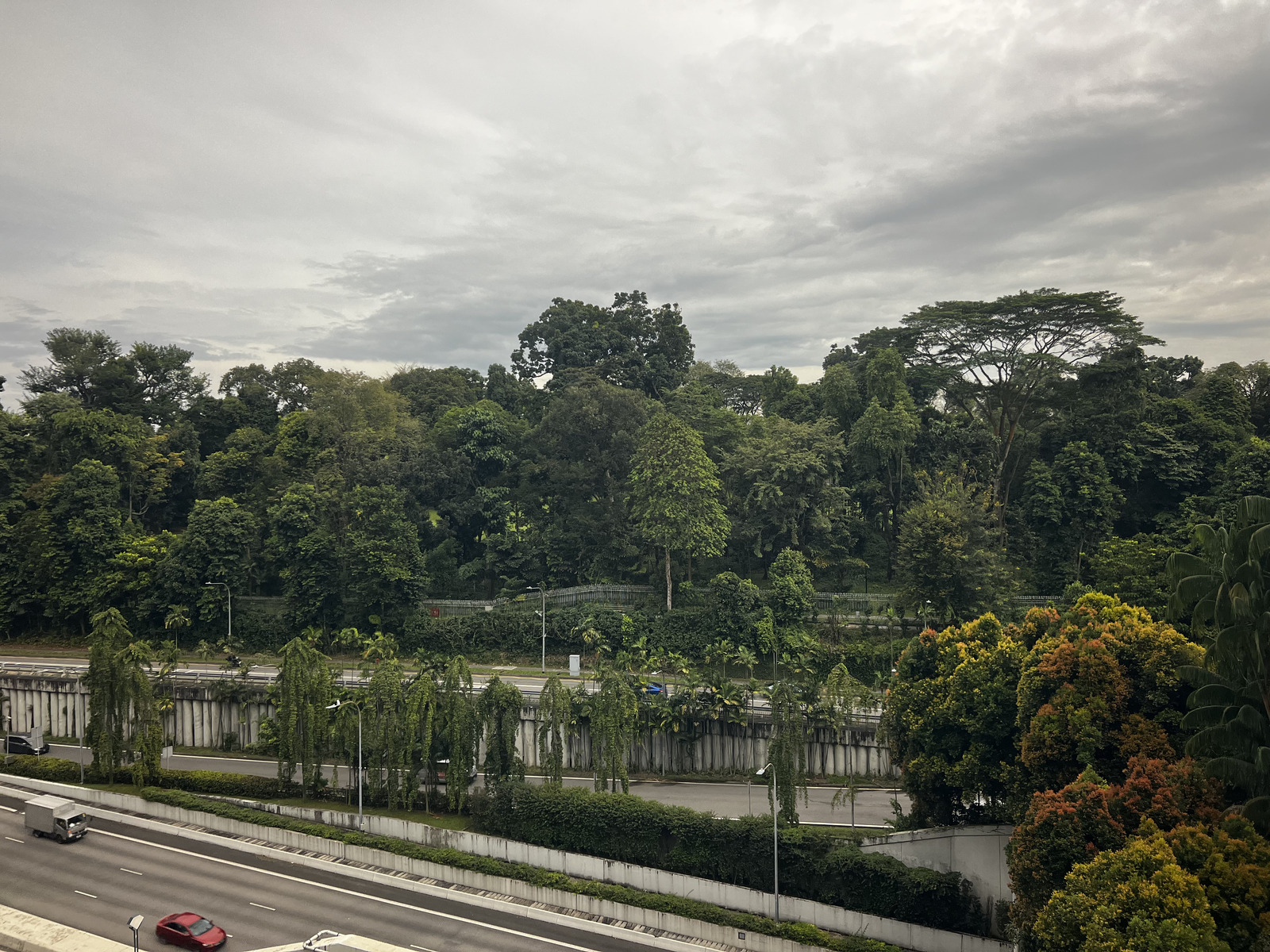 รูปถ่าย สิงคโปร์(Singapore) 2023-01 64