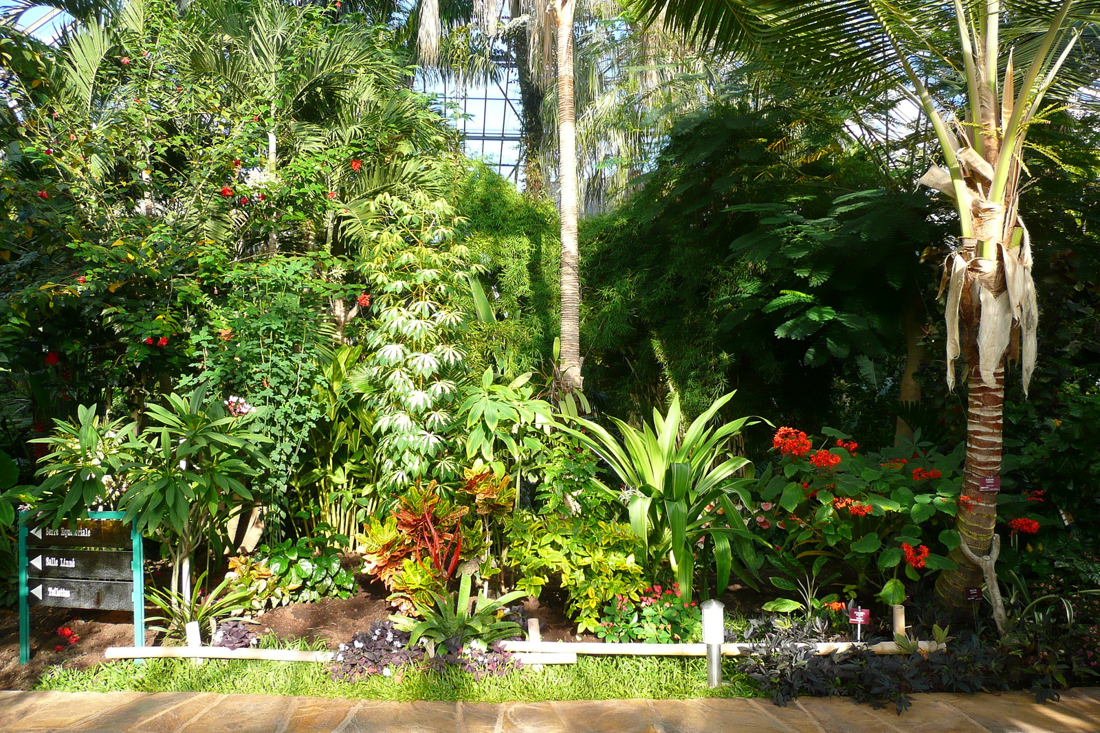 รูปถ่าย ฝรั่งเศส(France) นีส(Nice) สวนฟีนิกซ์(Phoenix Parc) 2007-10 67