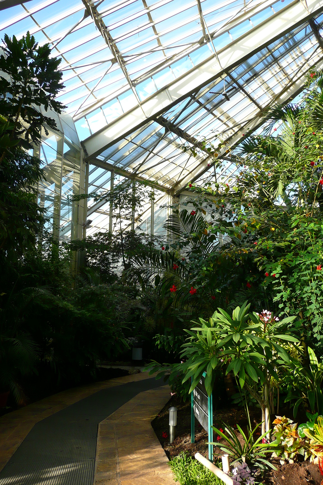รูปถ่าย ฝรั่งเศส(France) นีส(Nice) สวนฟีนิกซ์(Phoenix Parc) 2007-10 86