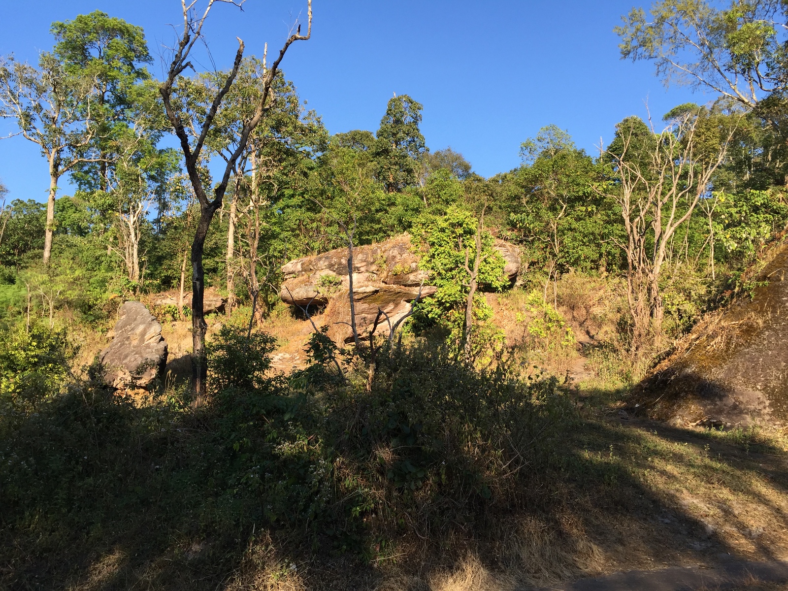 รูปถ่าย ไทย(Thailand) อุทยานแห่งชาติภูหินร่องกล้า(Phu Hin Rong Kla National Park) 2014-12 353