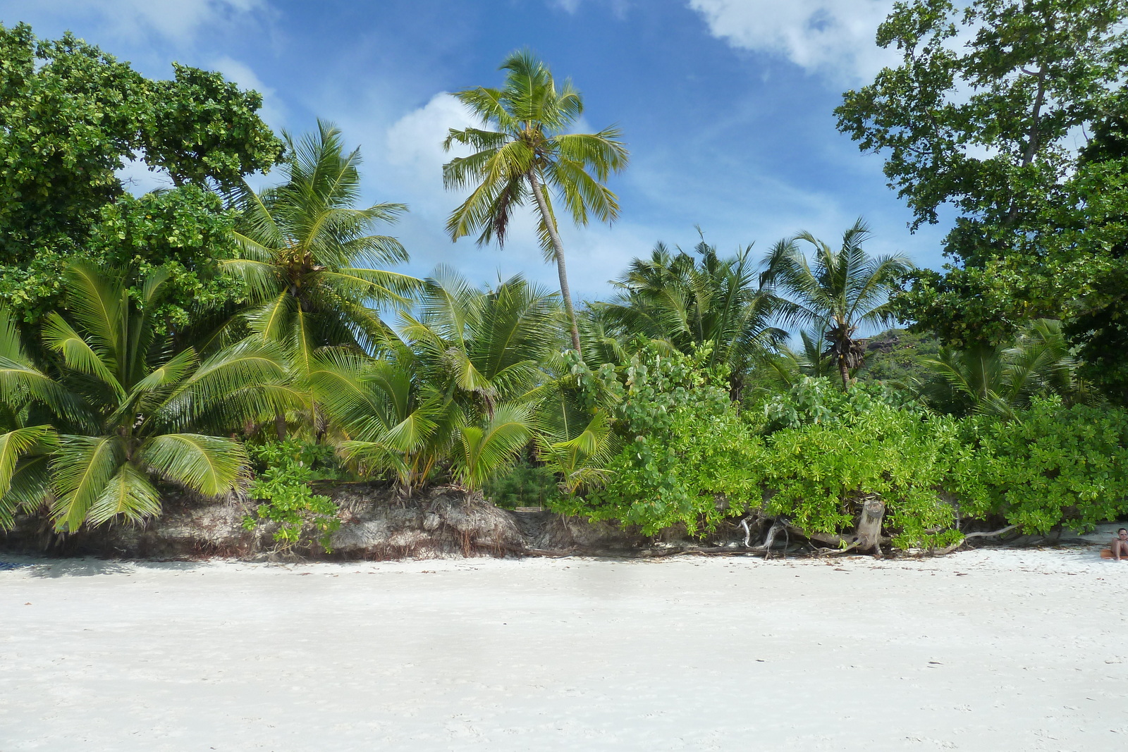 รูปถ่าย เซเชลส์(Seychelles) อ่าวอ็องส์ลาซิโอ(Anse Lazio) 2011-10 149