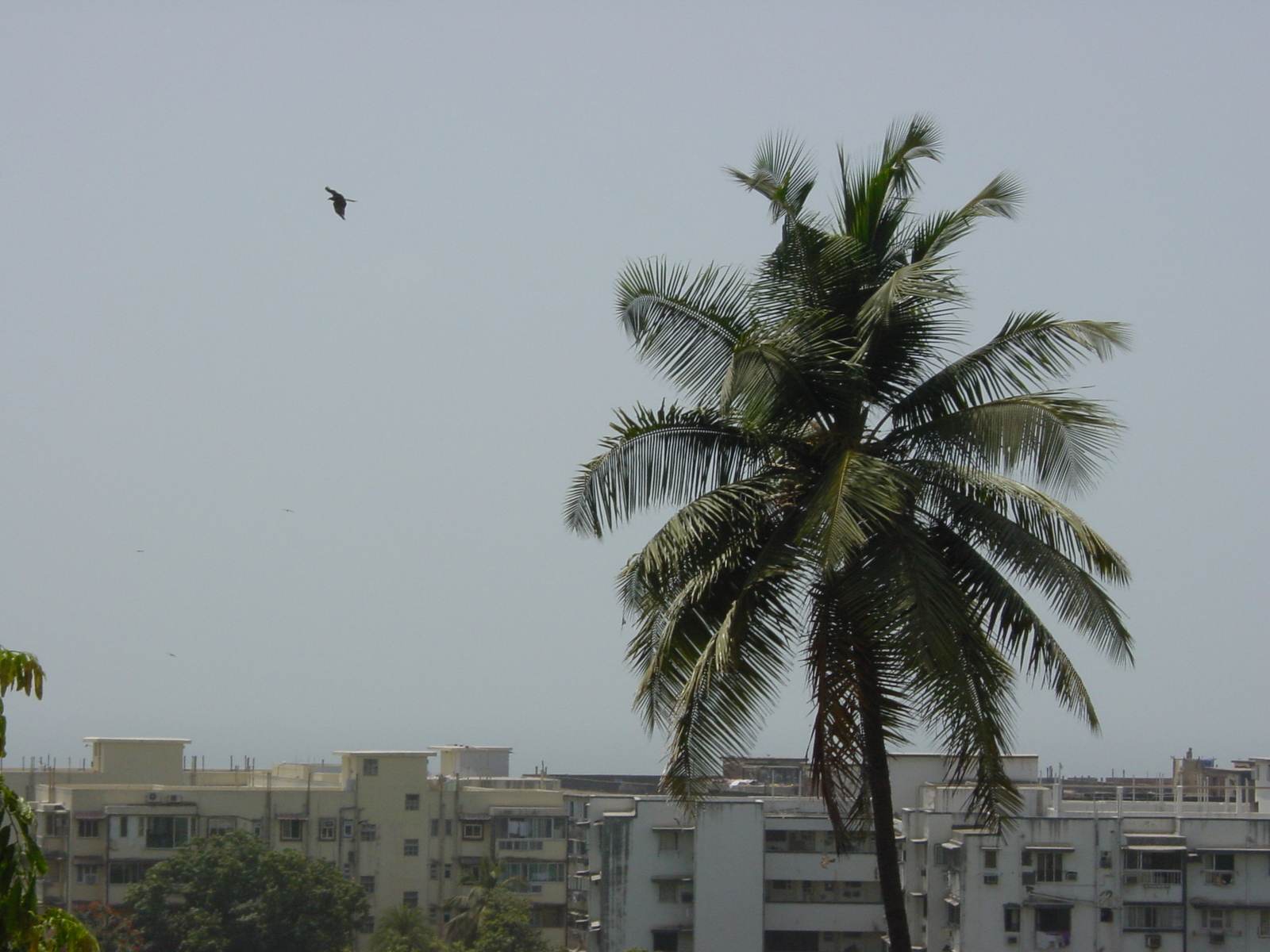รูปถ่าย อินเดีย(India) มัมไบ(Mumbai) 2003-05 59
