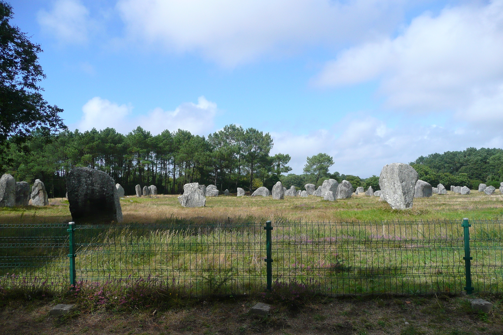 รูปถ่าย ฝรั่งเศส(France) การ์นัก(Carnac) 2008-07 17