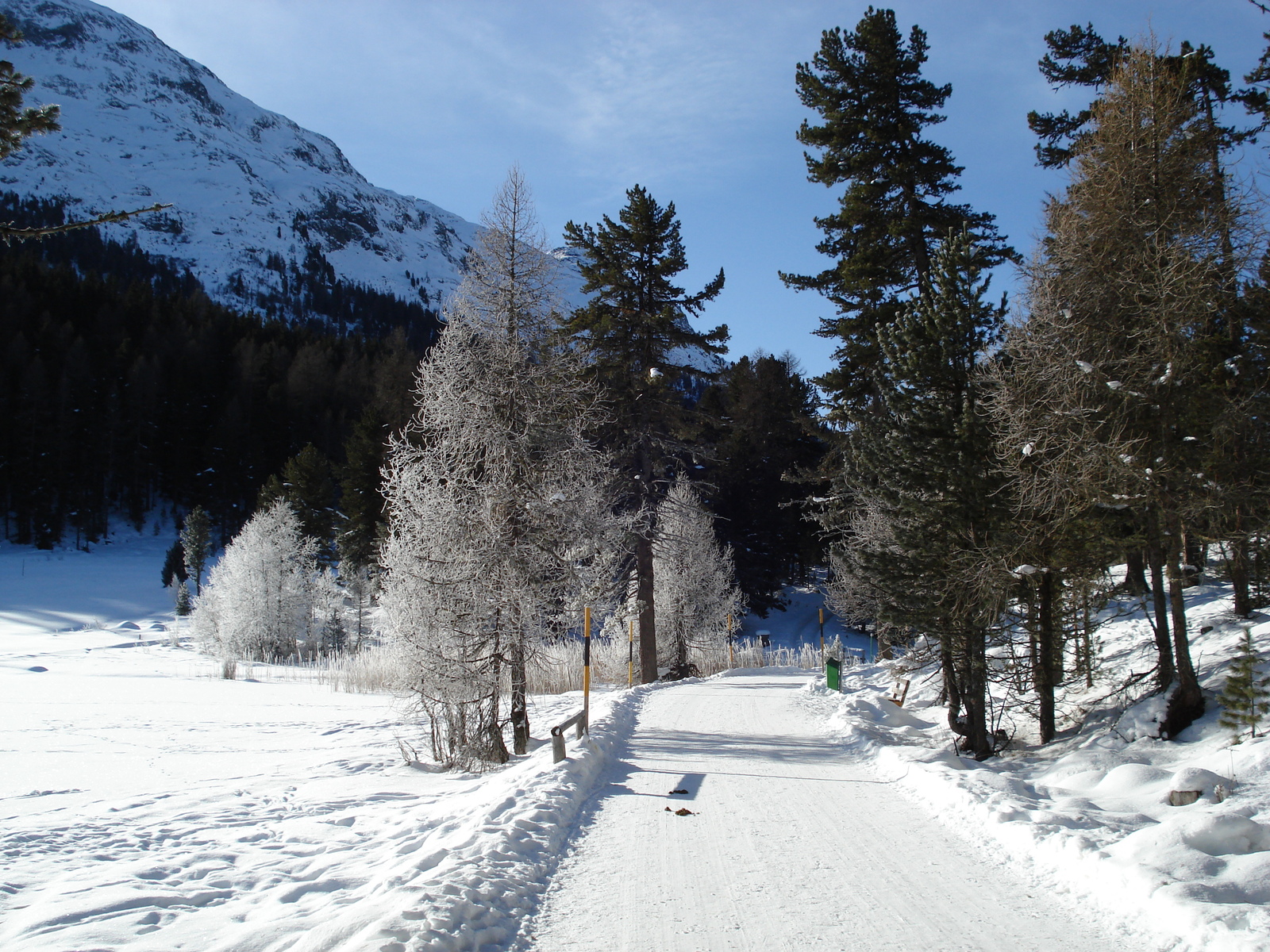 รูปถ่าย สวิสเซอร์แลนด์(Switzerland) เซนต์มอริตซ์ ชลาริญญา(St Moritz Schlarigna) 2007-01 2