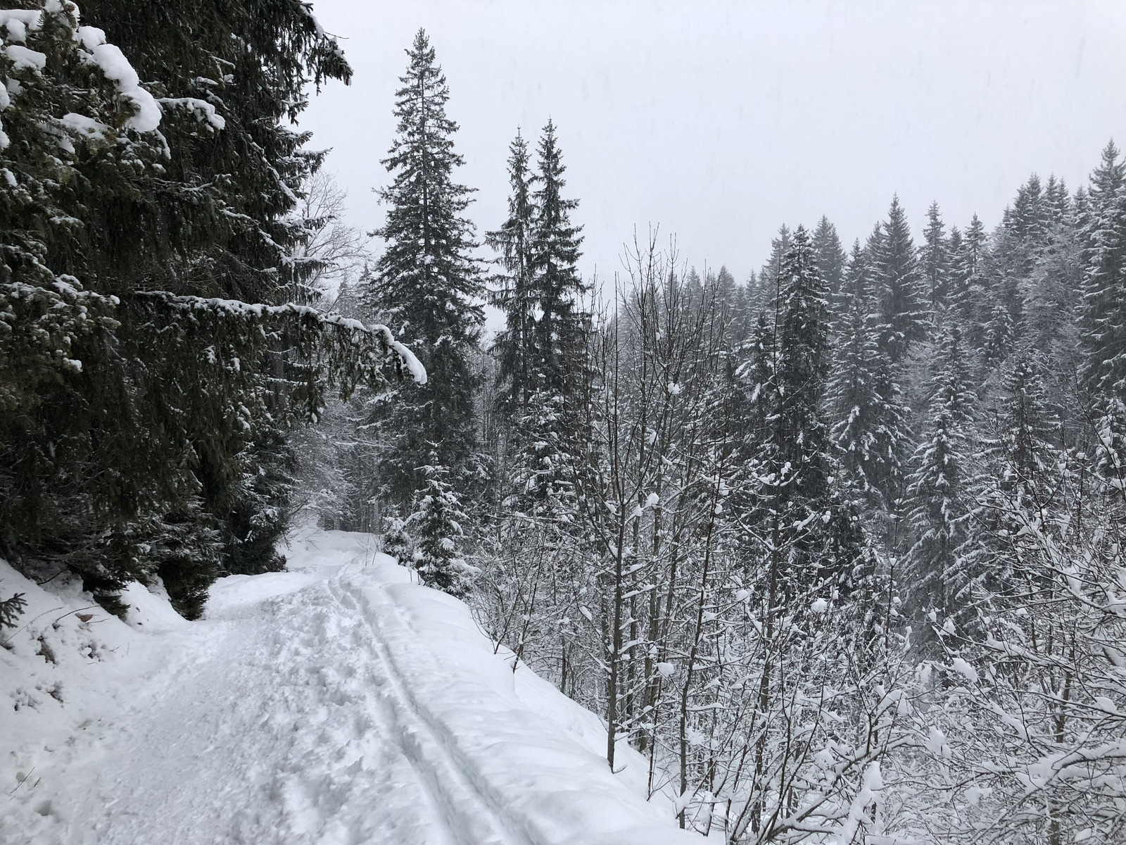รูปถ่าย ฝรั่งเศส(France) ลากลูซา(La Clusaz) 2017-12 191