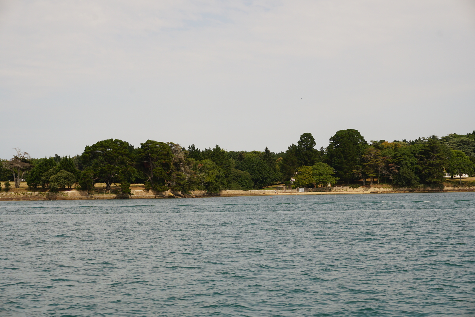 รูปถ่าย ฝรั่งเศส(France) อ่าวมอร์บีอ็อง(Golfe du Morbihan) 2016-08 34