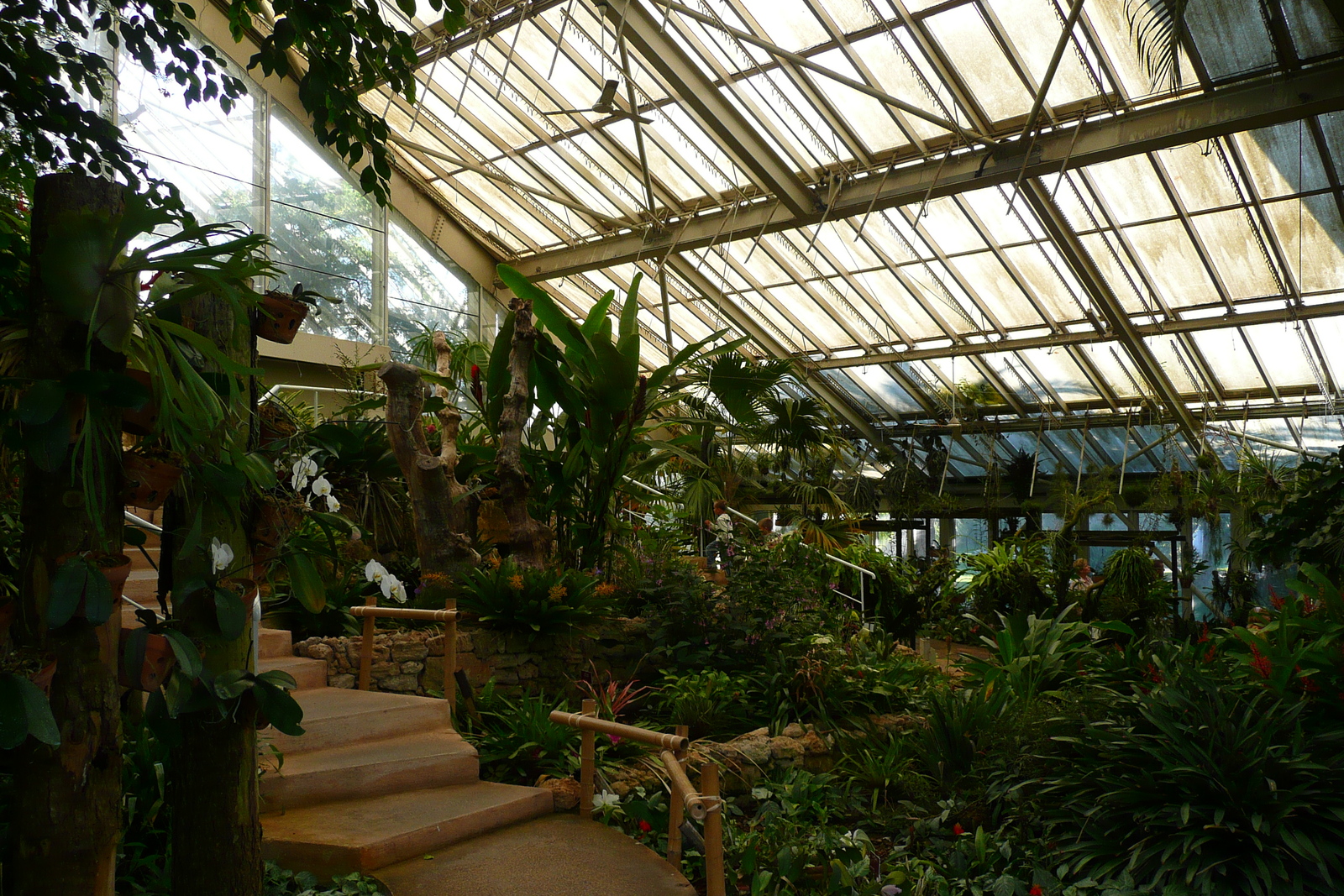 รูปถ่าย ฝรั่งเศส(France) นีส(Nice) สวนฟีนิกซ์(Phoenix Parc) 2007-10 32