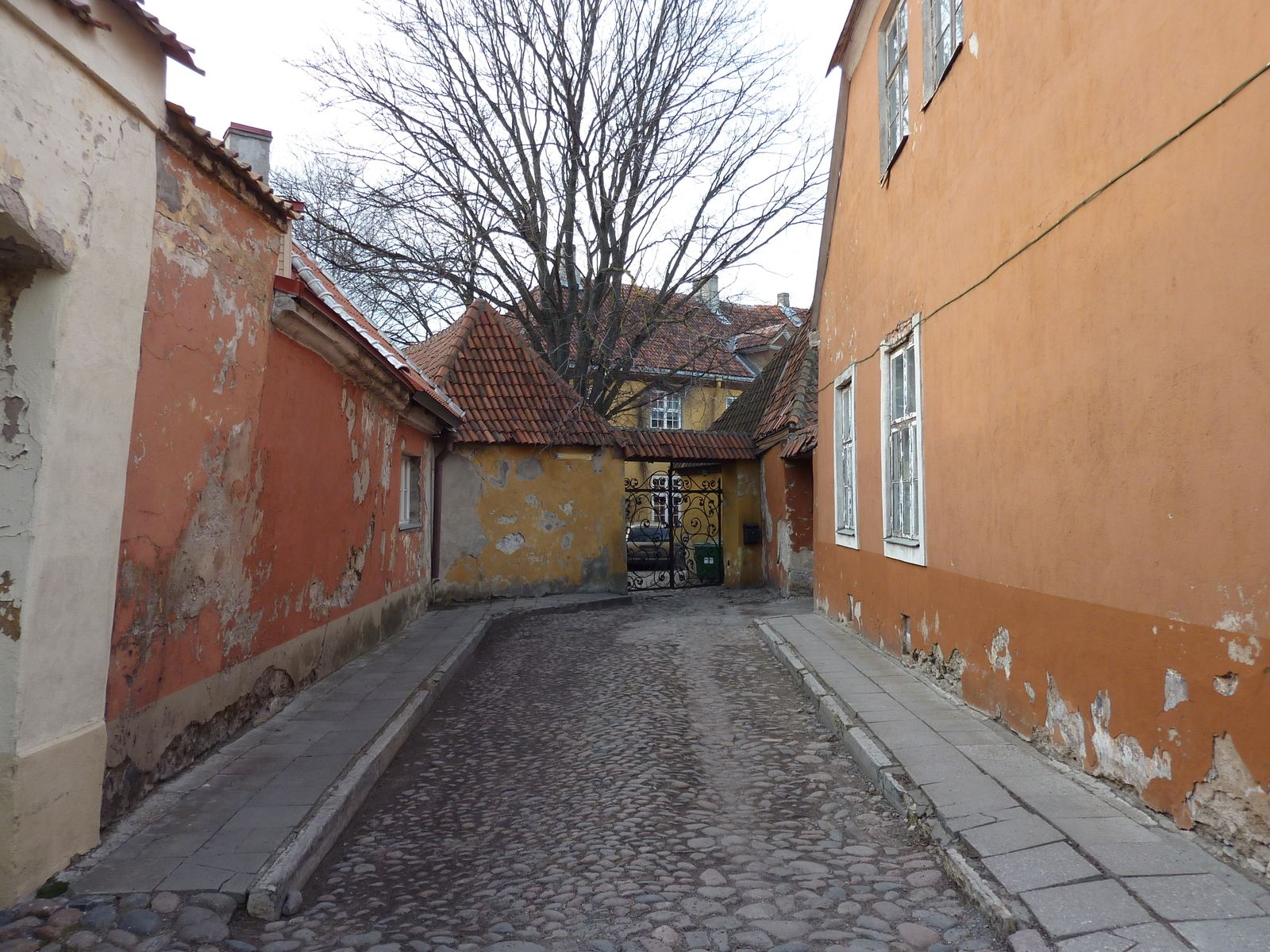 รูปถ่าย เอสโตเนีย(Estonia) ทาลลินน์(Tallinn) เมืองเก่าทาลลินน์(Old Tallinn) 2009-04 69