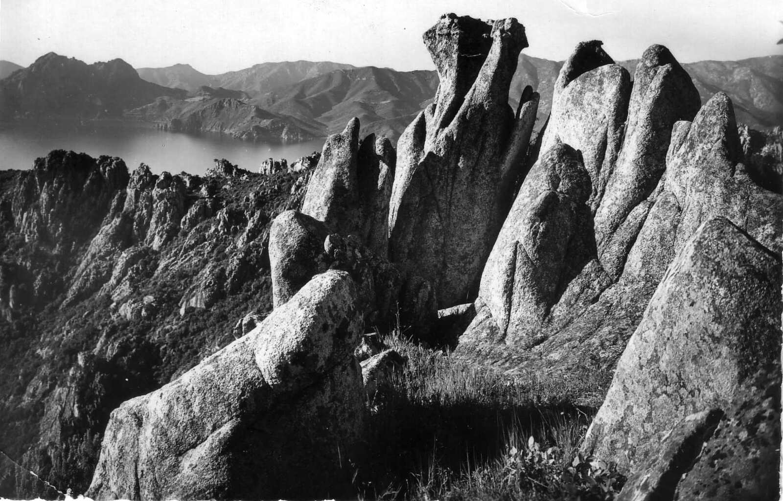 รูปถ่าย ฝรั่งเศส(France) คอร์สิคา(Corsica) โปสการ์ดเก่า(Old Postcards) 1900-01 128