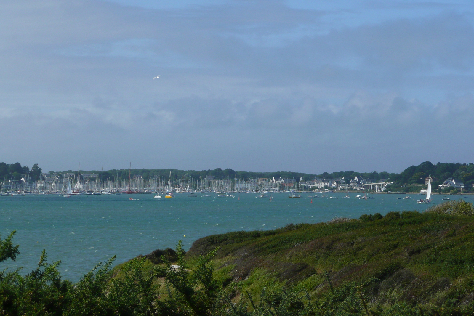 รูปถ่าย ฝรั่งเศส(France) แซ็งฟีลีแบร์(Saint Philibert) 2008-07 3