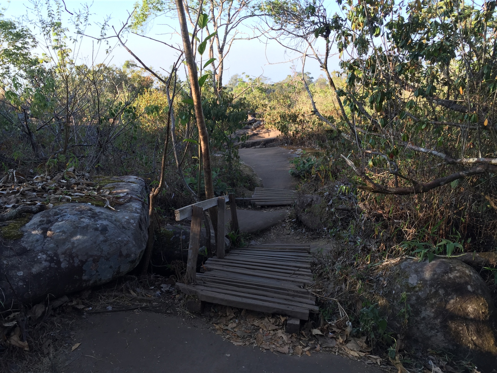 รูปถ่าย ไทย(Thailand) อุทยานแห่งชาติภูหินร่องกล้า(Phu Hin Rong Kla National Park) 2014-12 309