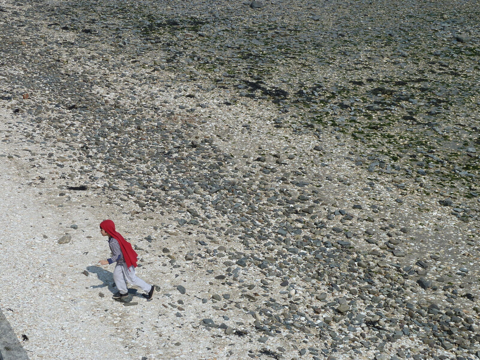 รูปถ่าย ฝรั่งเศส(France) ก็องกาล(Cancale) 2010-04 37