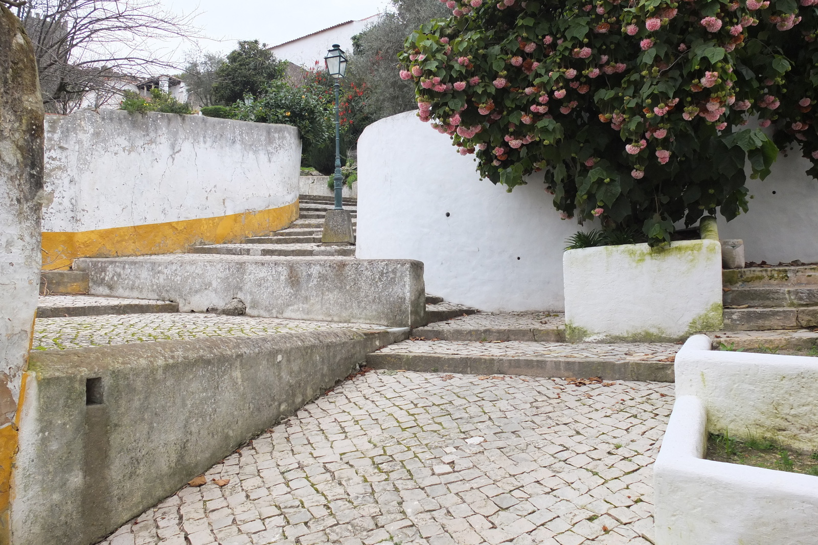 รูปถ่าย โปรตุเกส(Portugal) โอบีโดส(Obidos) 2013-01 94