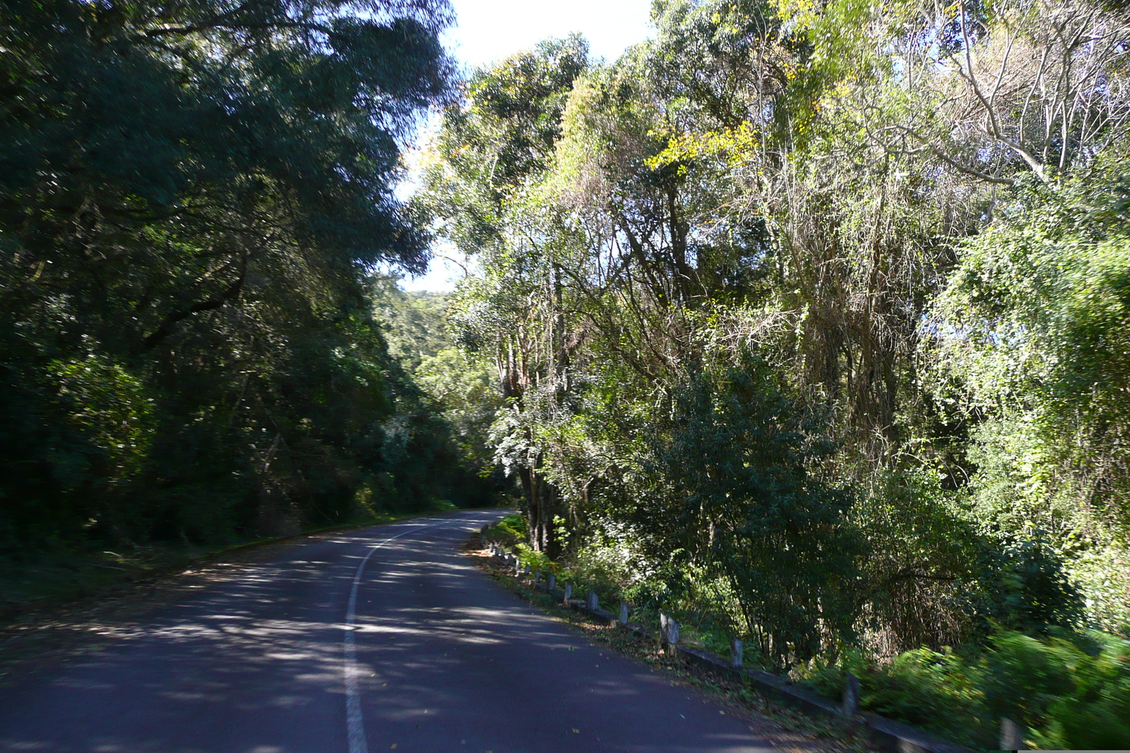 รูปถ่าย แอฟริกาใต้(South Africa) หุบเขาเนเจอร์ส(Nature's Valley) 2008-09 34