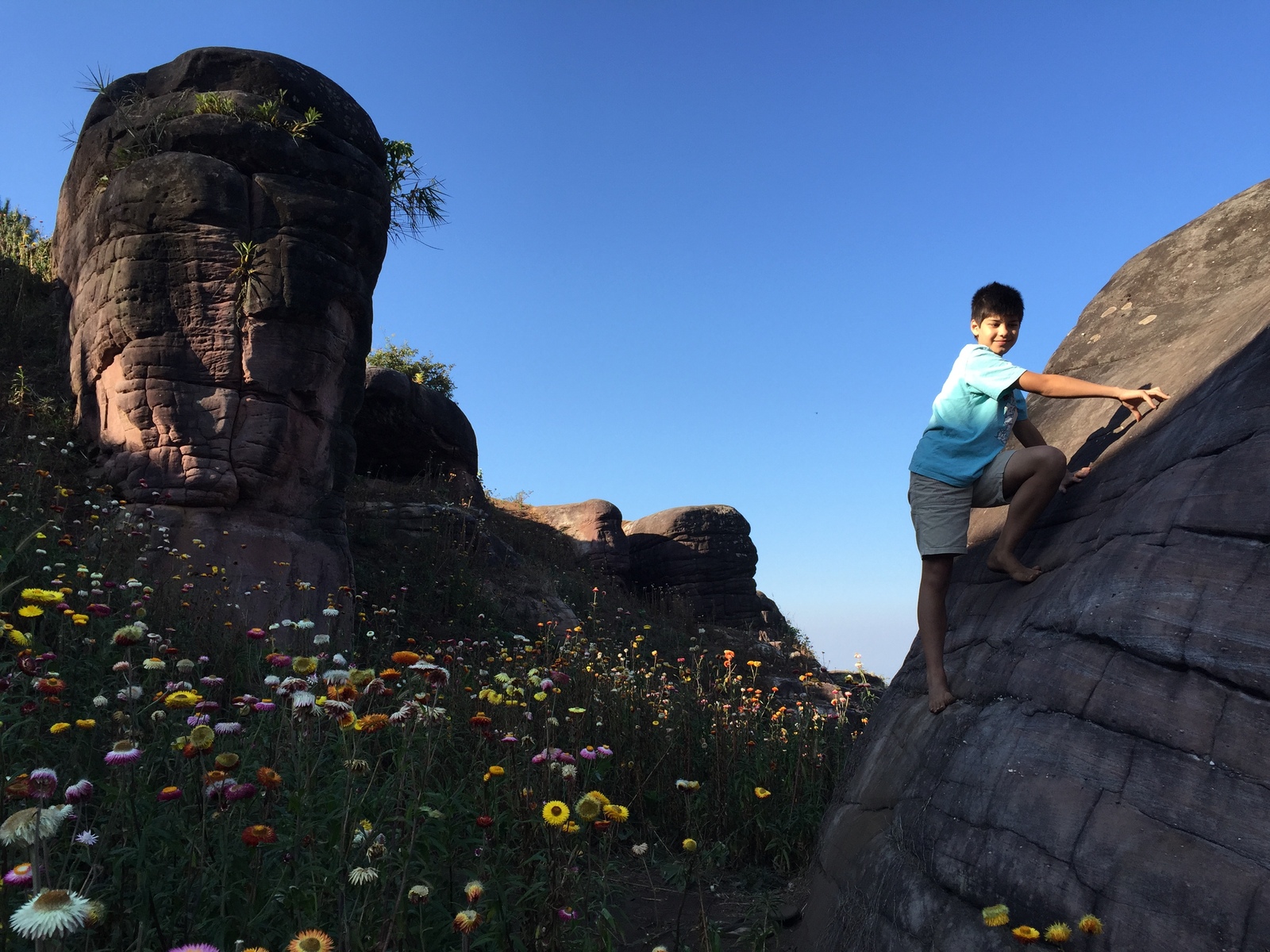 รูปถ่าย ไทย(Thailand) อุทยานแห่งชาติภูหินร่องกล้า(Phu Hin Rong Kla National Park) 2014-12 341