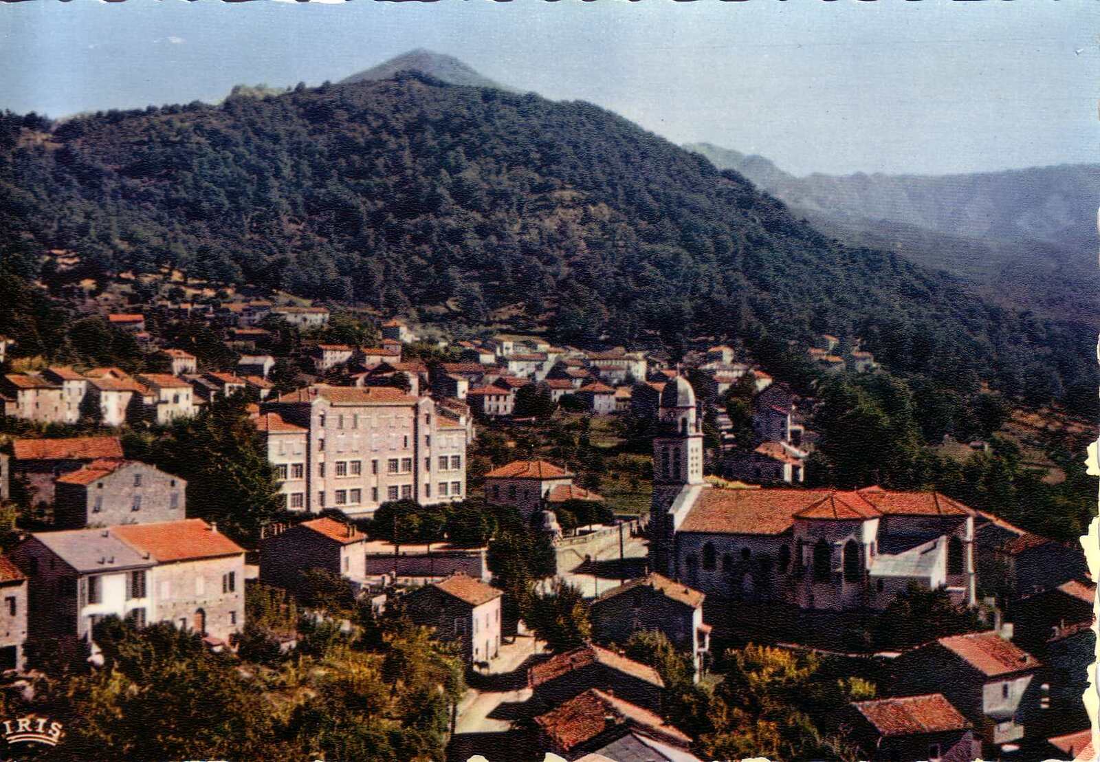 รูปถ่าย ฝรั่งเศส(France) คอร์สิคา(Corsica) โปสการ์ดเก่า(Old Postcards) 1900-01 90