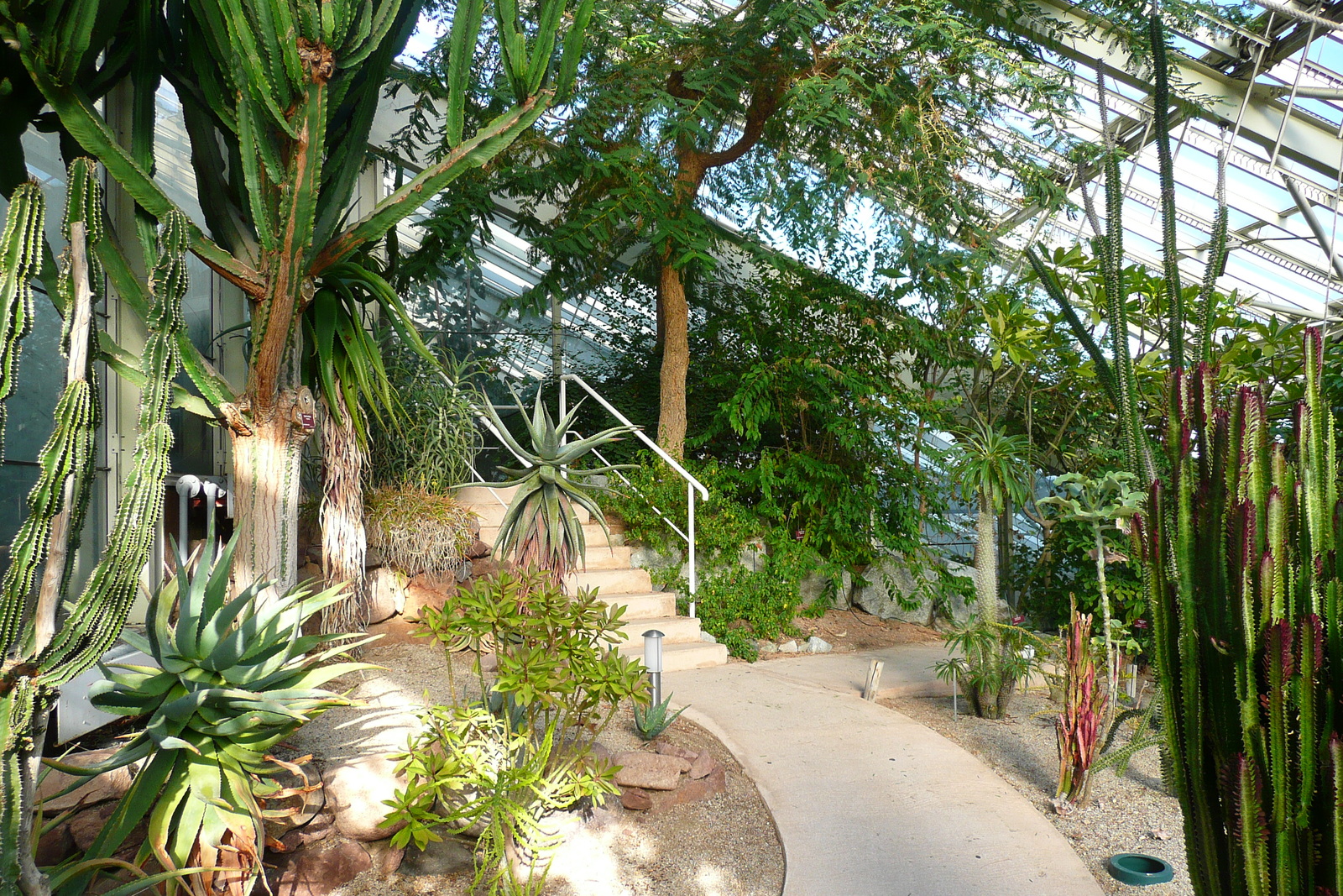 รูปถ่าย ฝรั่งเศส(France) นีส(Nice) สวนฟีนิกซ์(Phoenix Parc) 2007-10 11