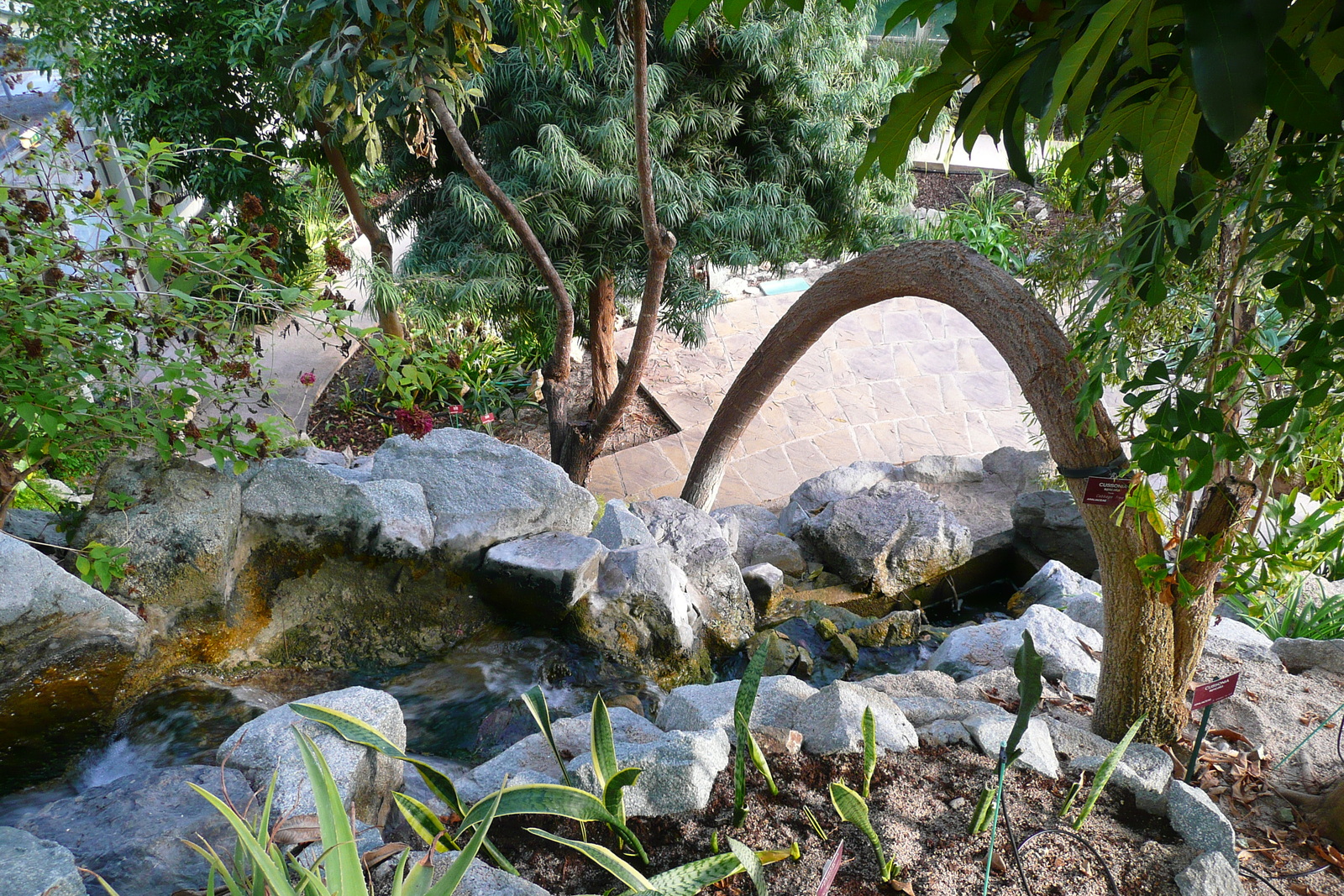 รูปถ่าย ฝรั่งเศส(France) นีส(Nice) สวนฟีนิกซ์(Phoenix Parc) 2007-10 25