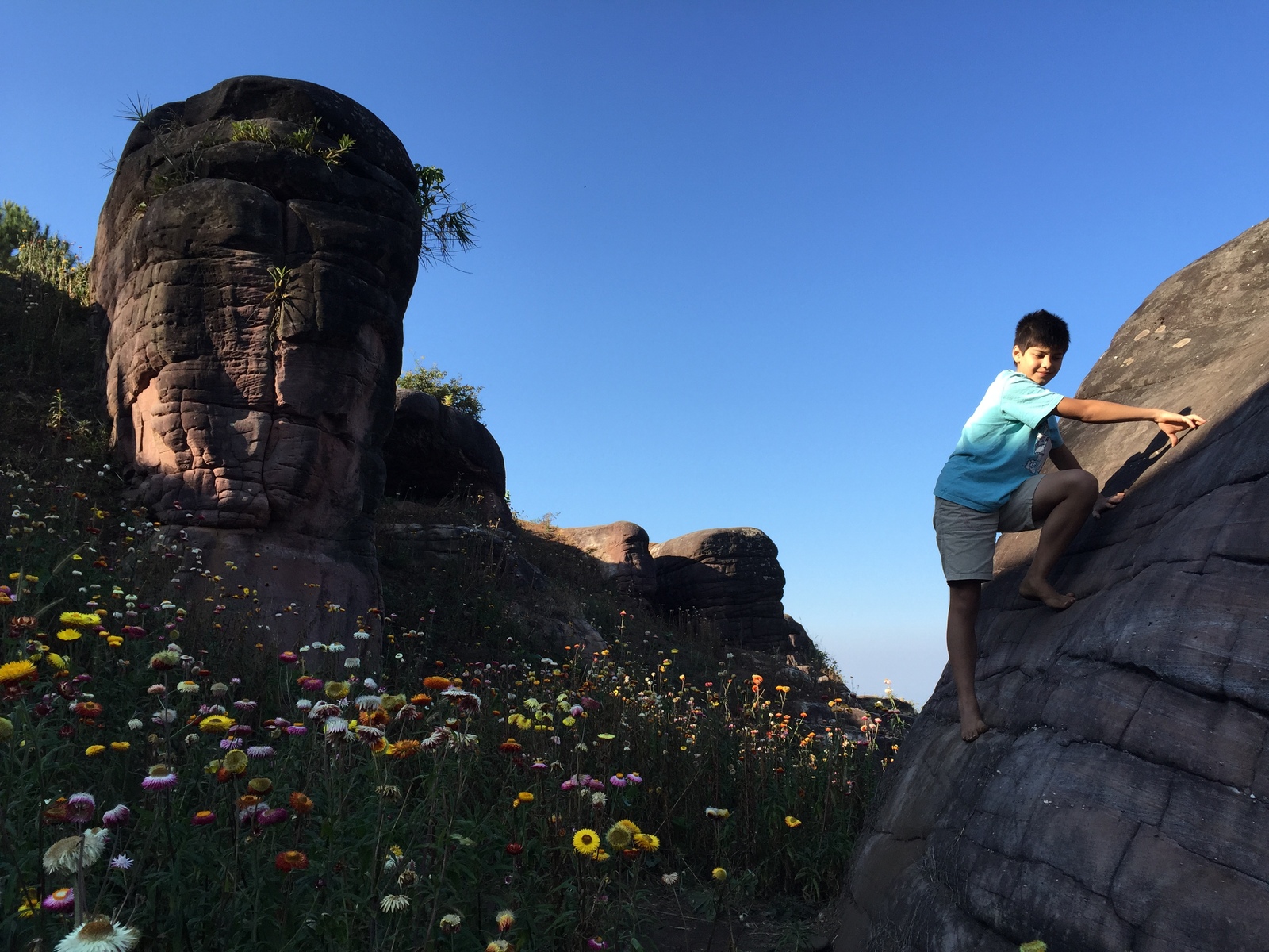 รูปถ่าย ไทย(Thailand) อุทยานแห่งชาติภูหินร่องกล้า(Phu Hin Rong Kla National Park) 2014-12 427