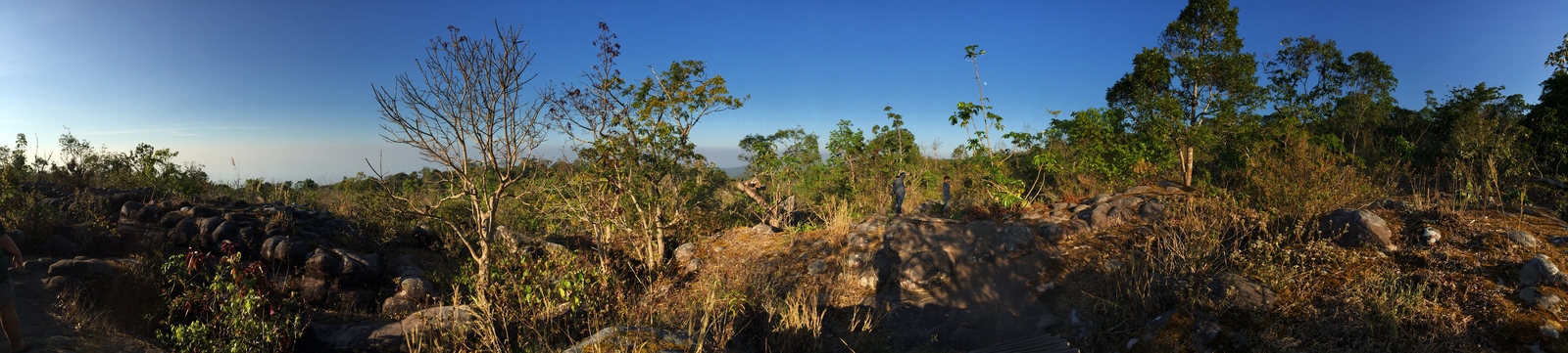 รูปถ่าย ไทย(Thailand) อุทยานแห่งชาติภูหินร่องกล้า(Phu Hin Rong Kla National Park) 2014-12 17
